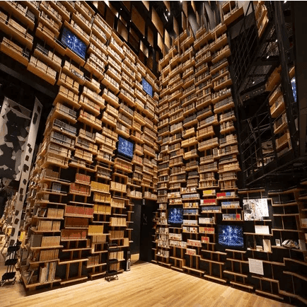 トゥトアンクアメンの墓と古代エジプトの教科書｜俗語半解