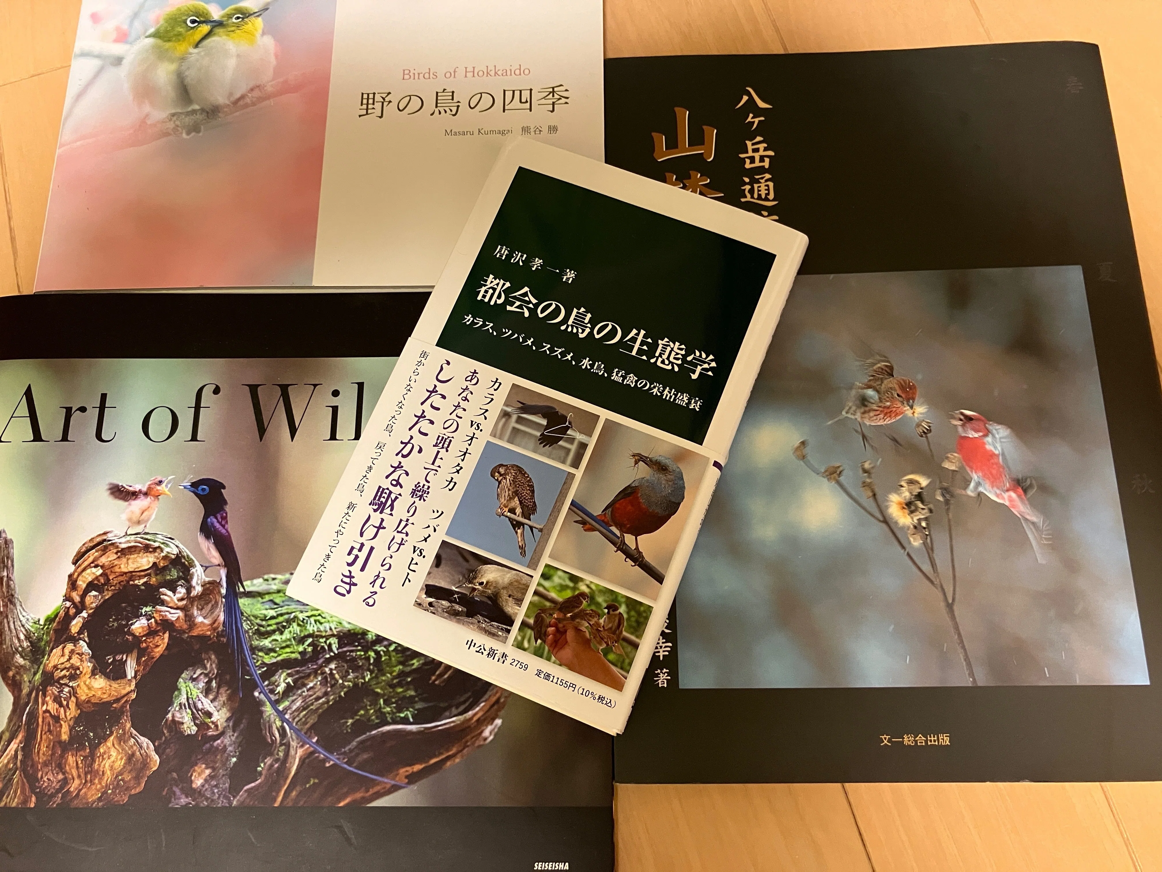 都会の鳥の生態学」を読んで｜TOLIMAN Hondα
