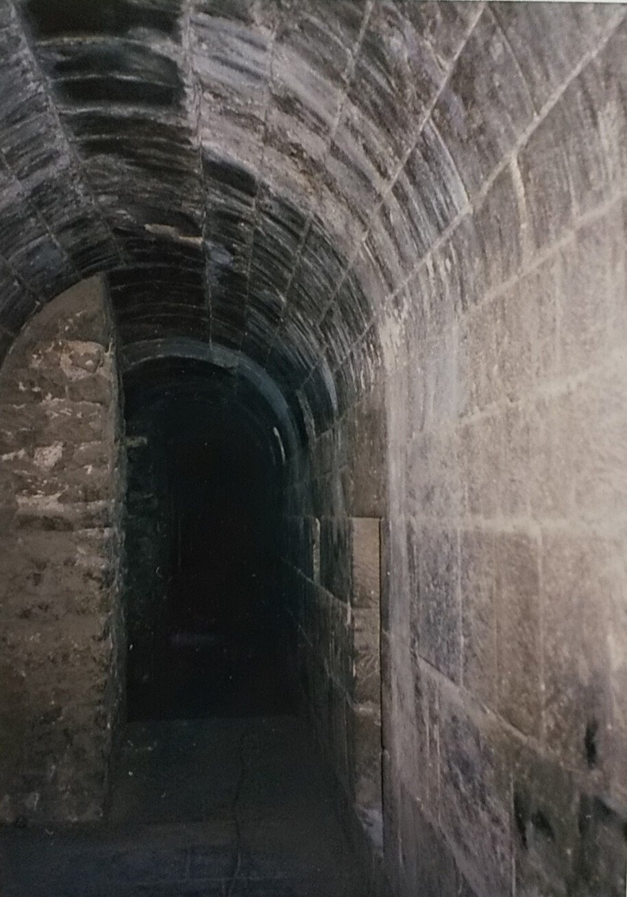 昼も夜も彷徨え』トークイベント③なぜ物語という巨大な嘘をつか