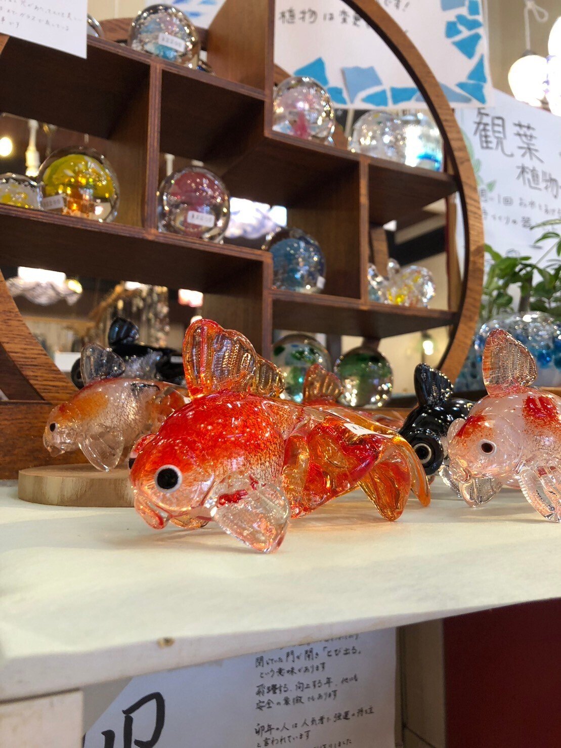 弥彦】夏めくガラス屋さん TAKU GLASS｜みななな