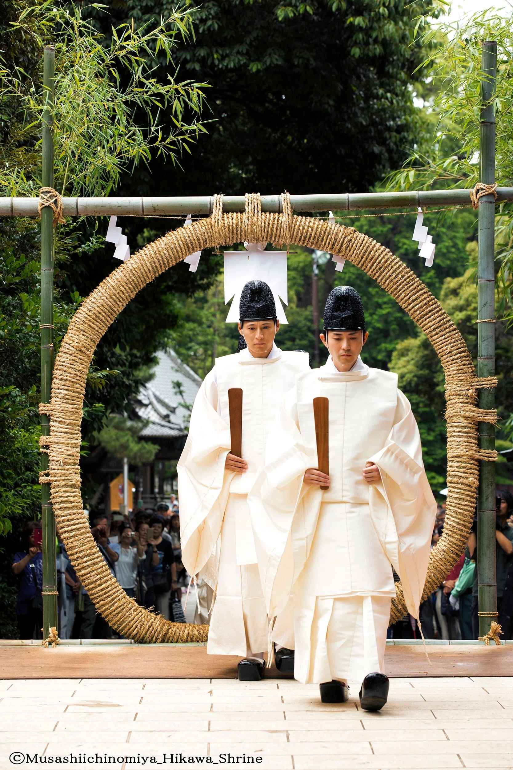 第164回～「茅の話」｜武蔵一宮 氷川神社