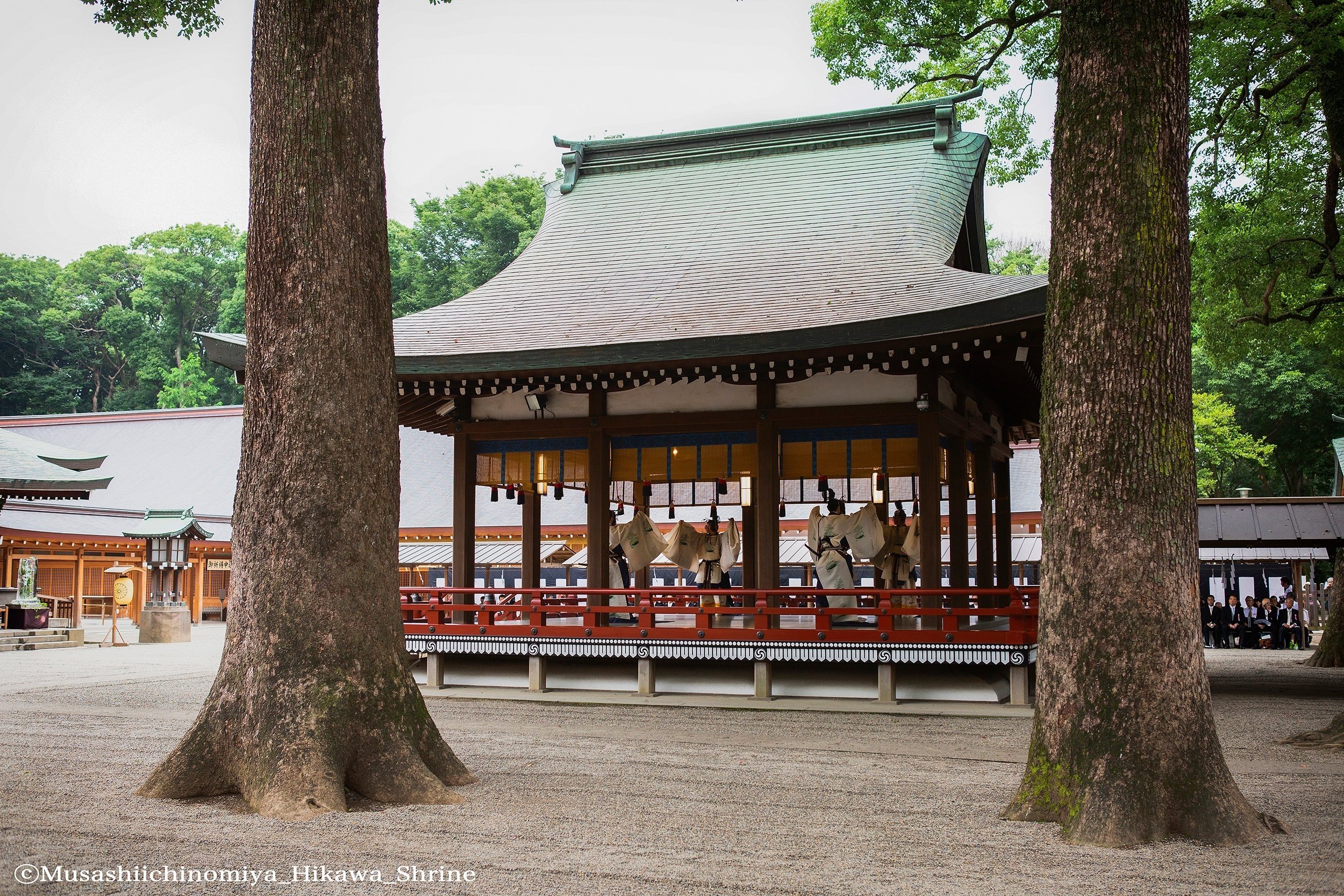 神宮 - 日本の神社文化 文化財詳細 | 福井県文化財ページ