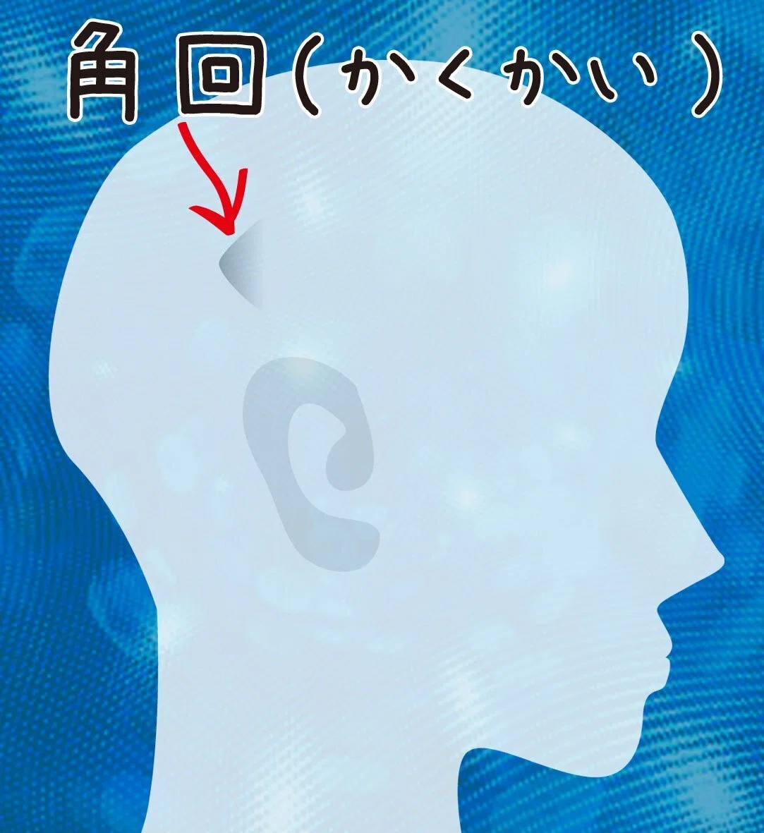 超人道の準備「ツノ活」~宇宙と通じる角(ツノ)頭頂葉にある角回(かくかい)|インディゴチルドレン 超人類進化研究所 代表 kao333
