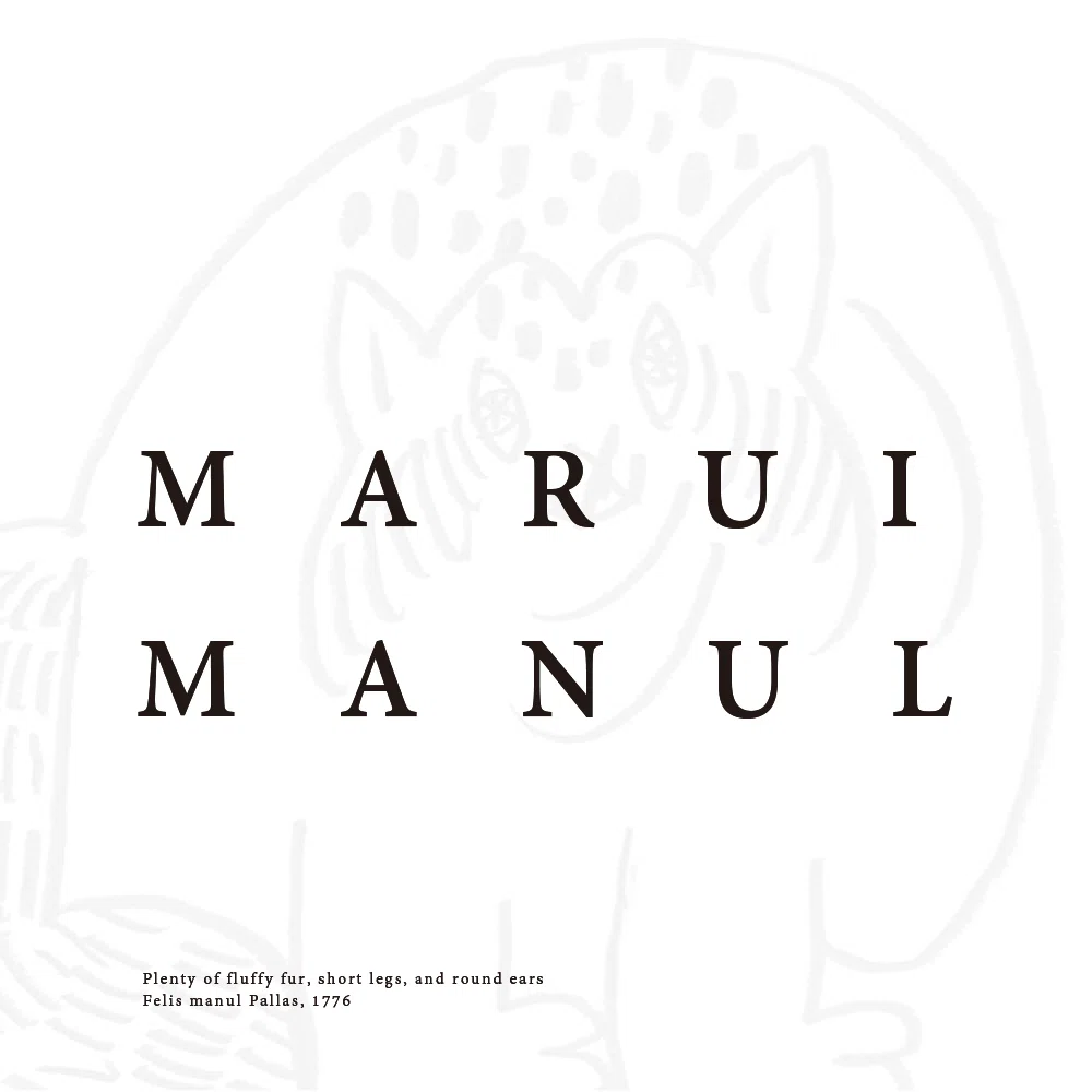 MARUI MANUL｜イラストレーション｜よしもりたけはる｜よしもりたけはる｜絵作家