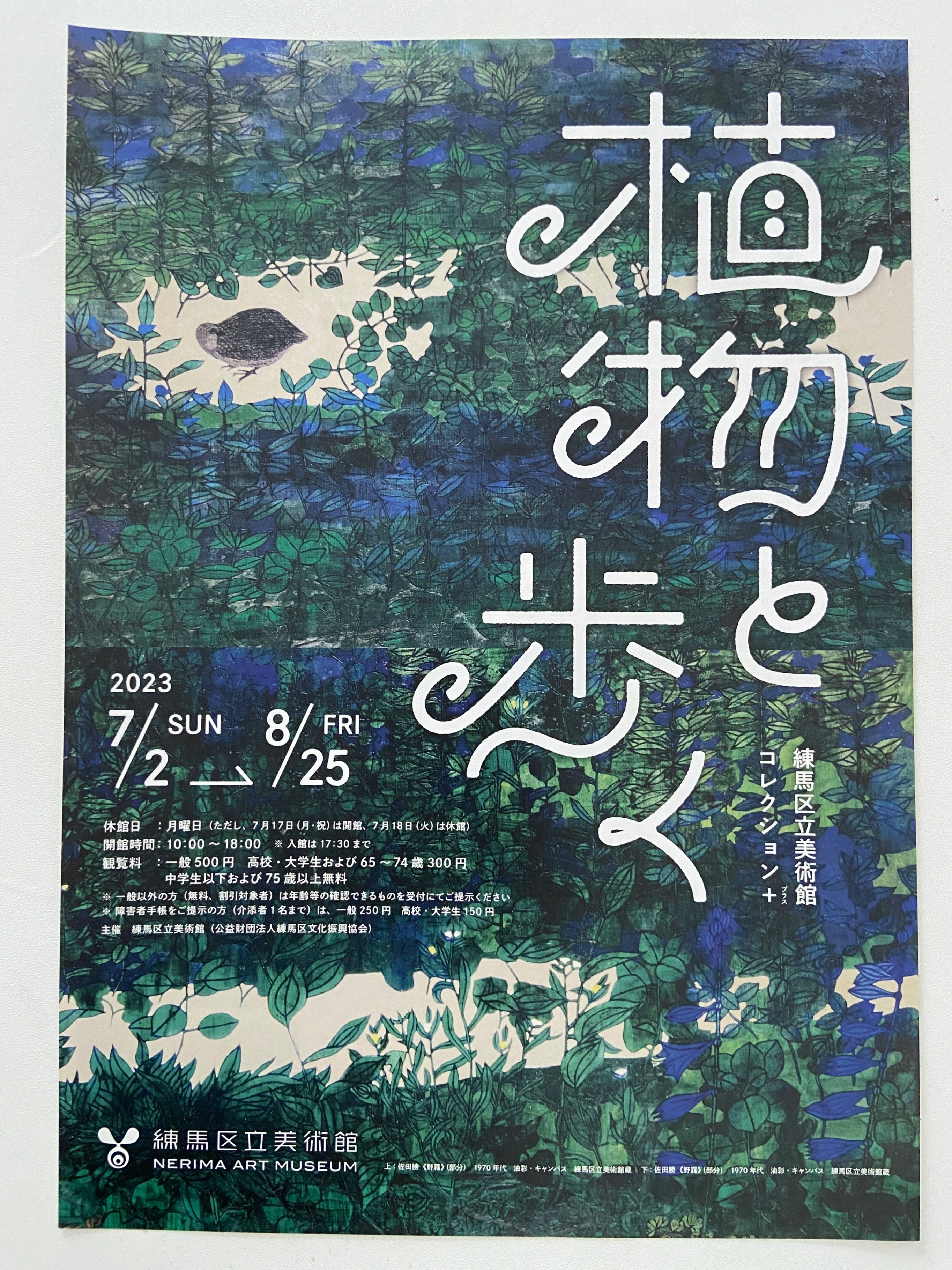 今日のちらし12 おちらしさん編③｜⭐︎はくれぽ！⭐︎