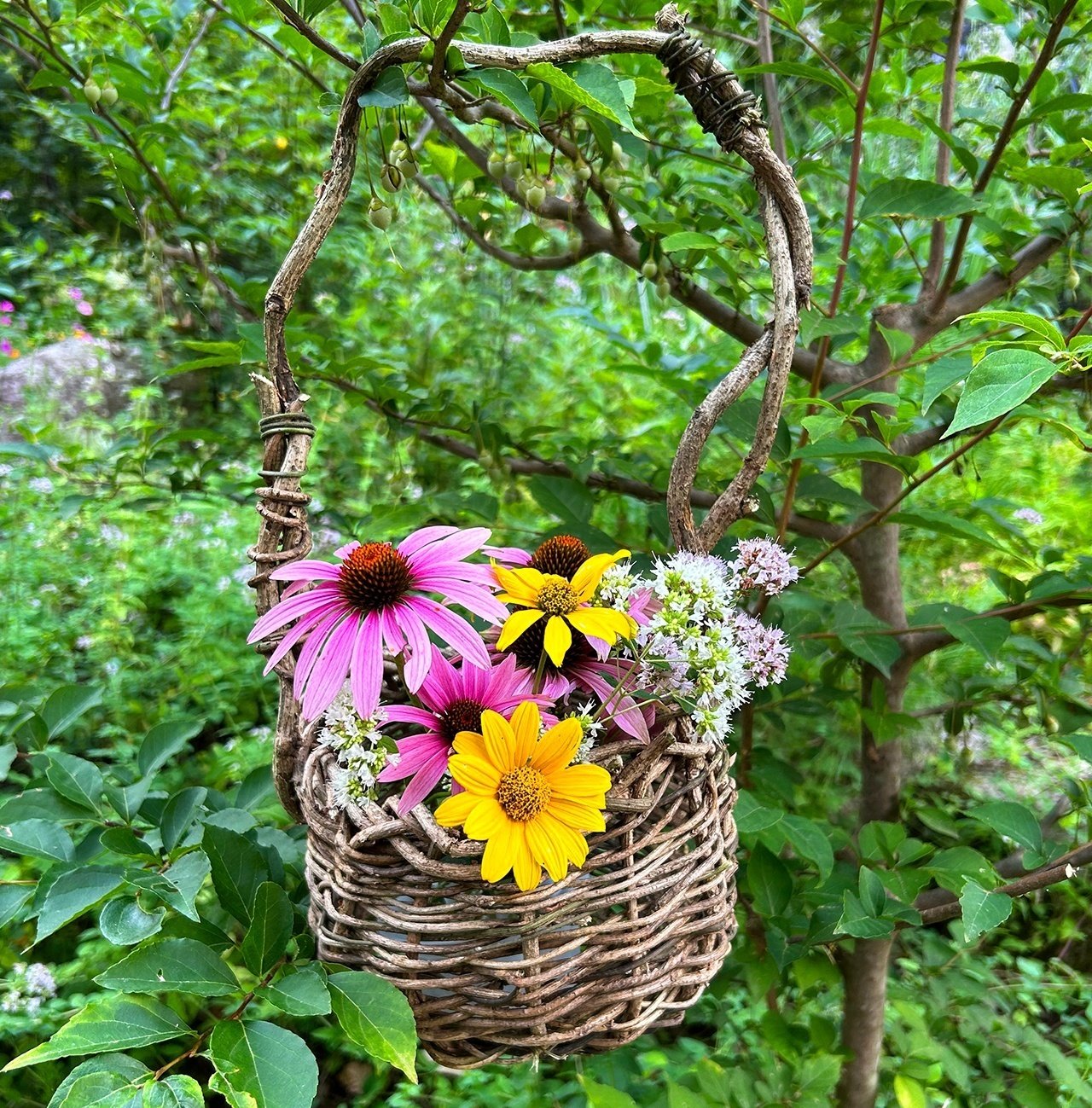 アオツヅラフジでカゴを編みました｜サナエvinsanchi