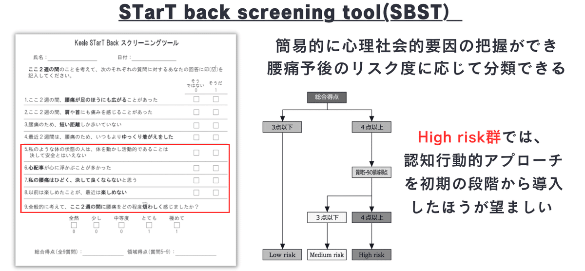 非特異的腰痛の評価と運動療法| 株式会社Sportip