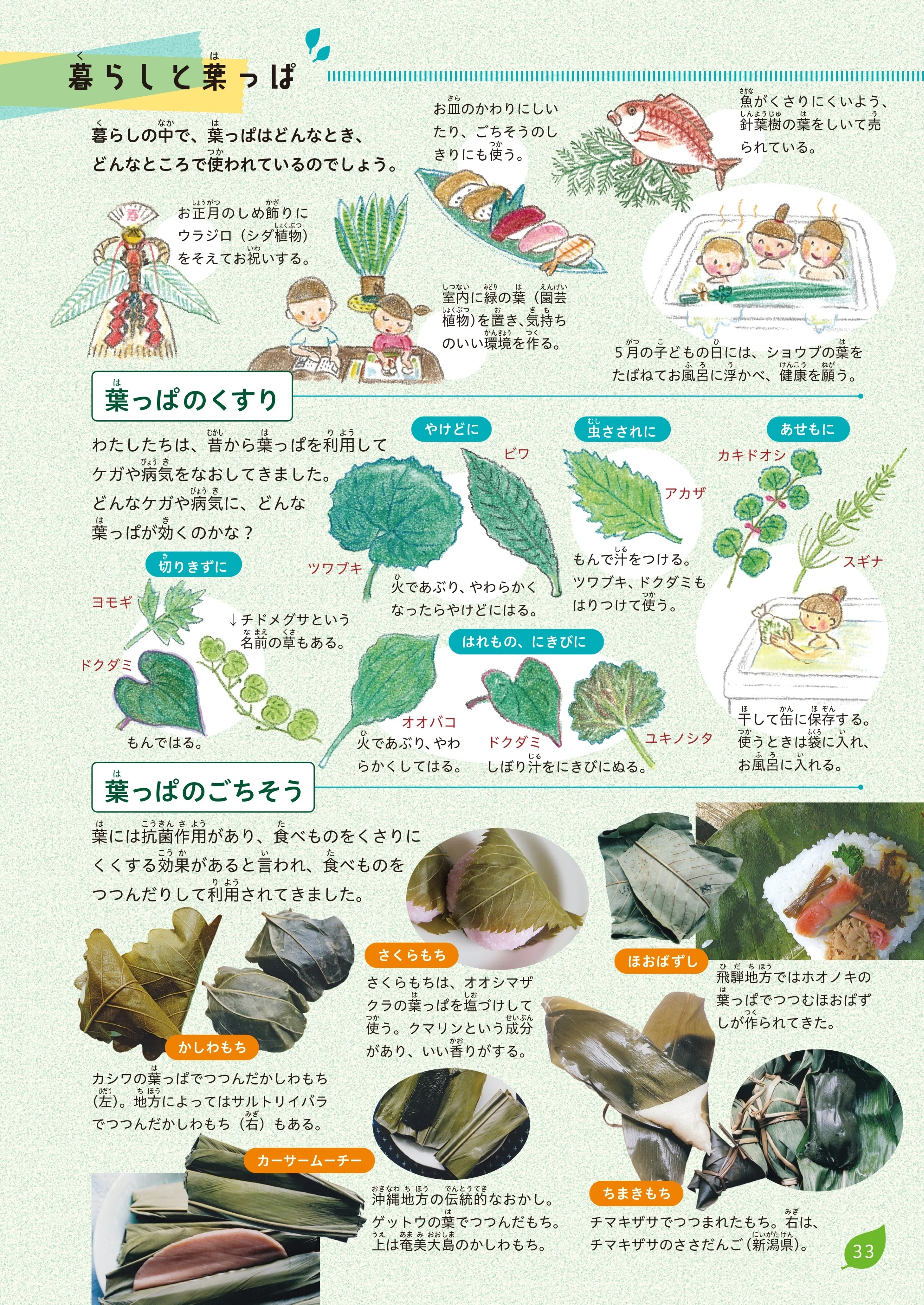 世界は葉っぱであふれてる｜ブンイチ（文一総合出版）