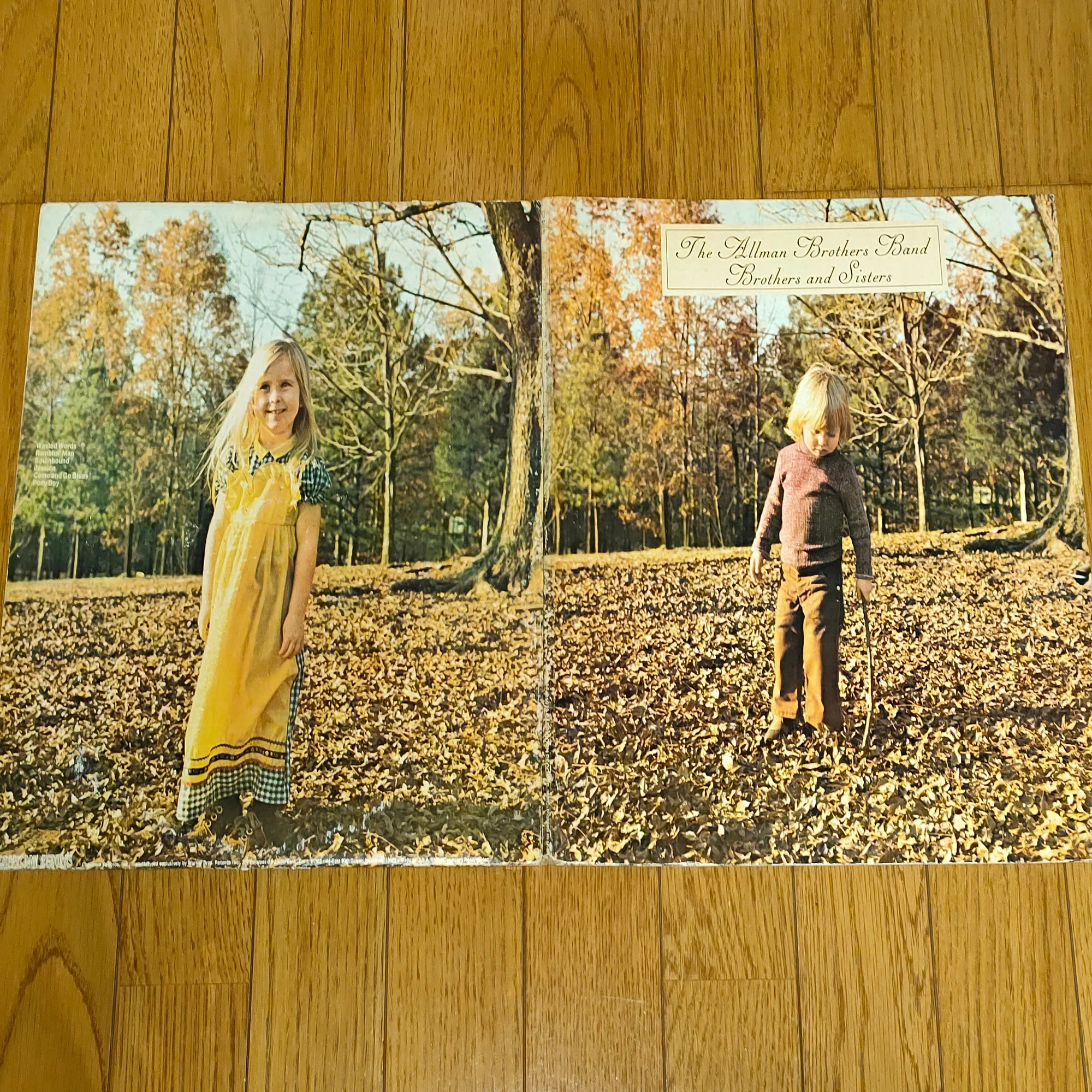 Brothers and Sisters】(1973) The Allman Brothers Band 失意から復活 