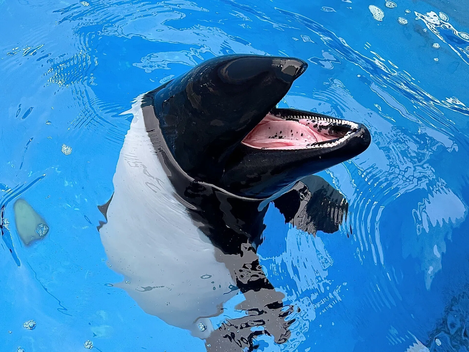 ライトの💡｜仙台うみの杜水族館