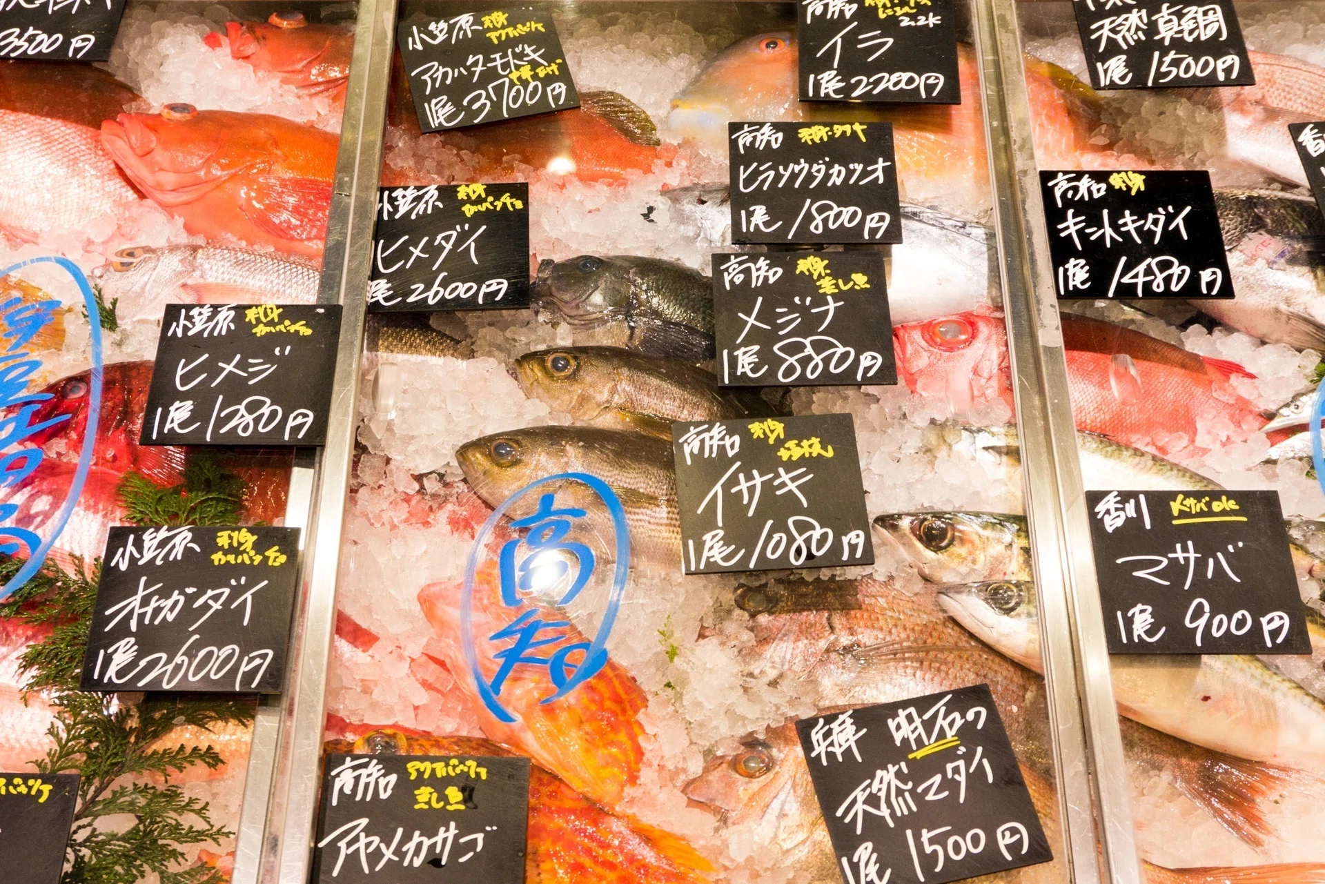 珍しい魚を売る方法｜フーディソン｜生鮮流通に新しい循環を