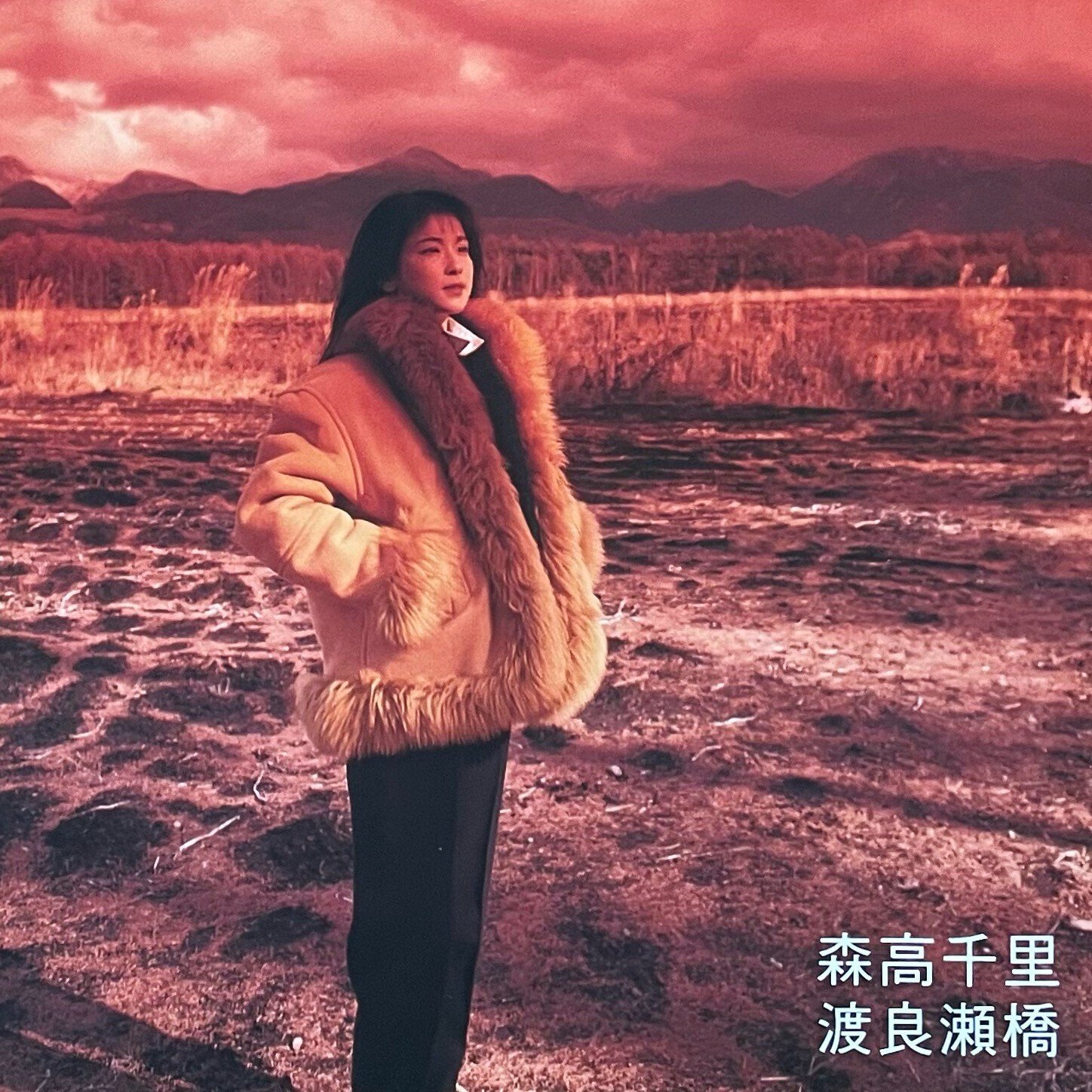 森高千里の名曲がアナログレコードで登場！｜五辺宏明