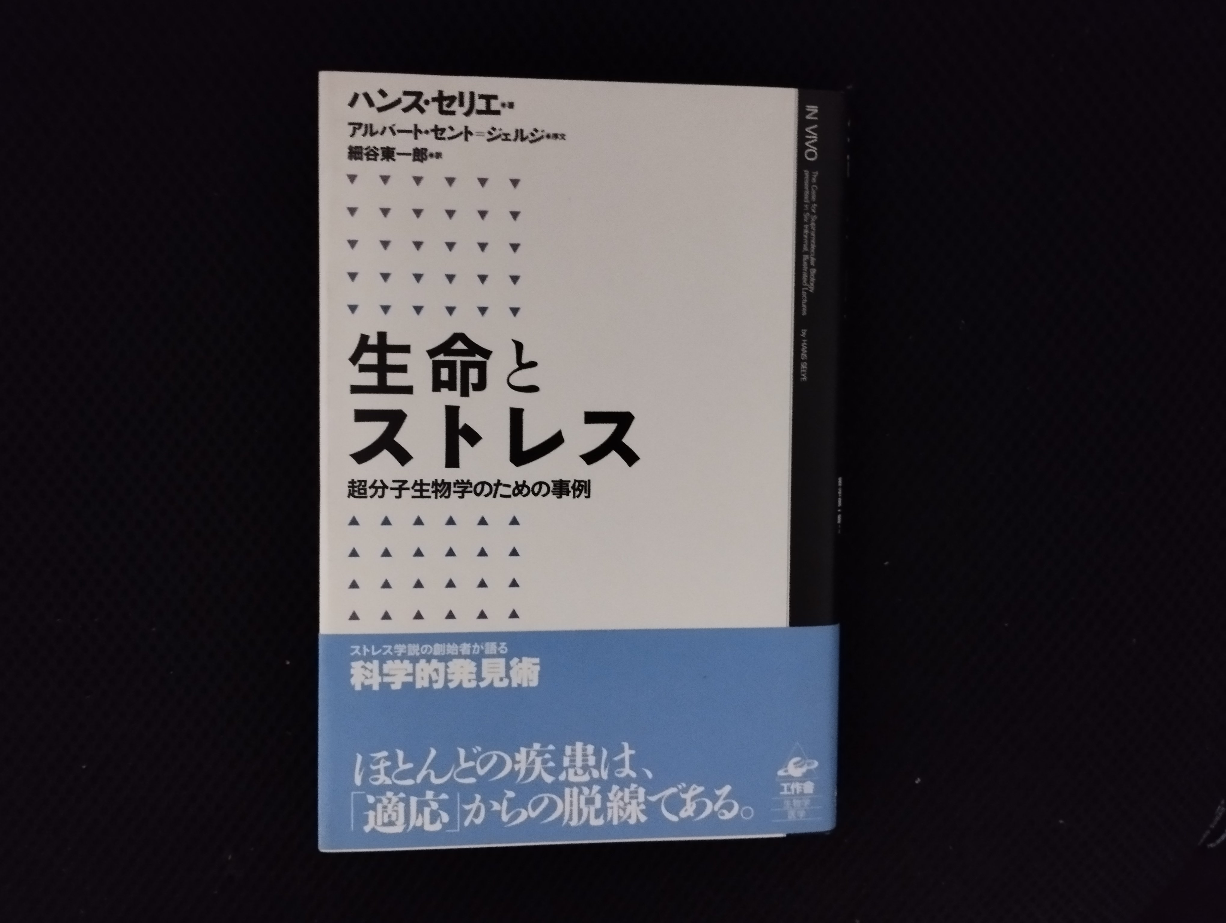 現代社会とストレス ハンス・セリエ 現代社会とストレス 原書改訂版 (叢書・ウニベルシタス 243