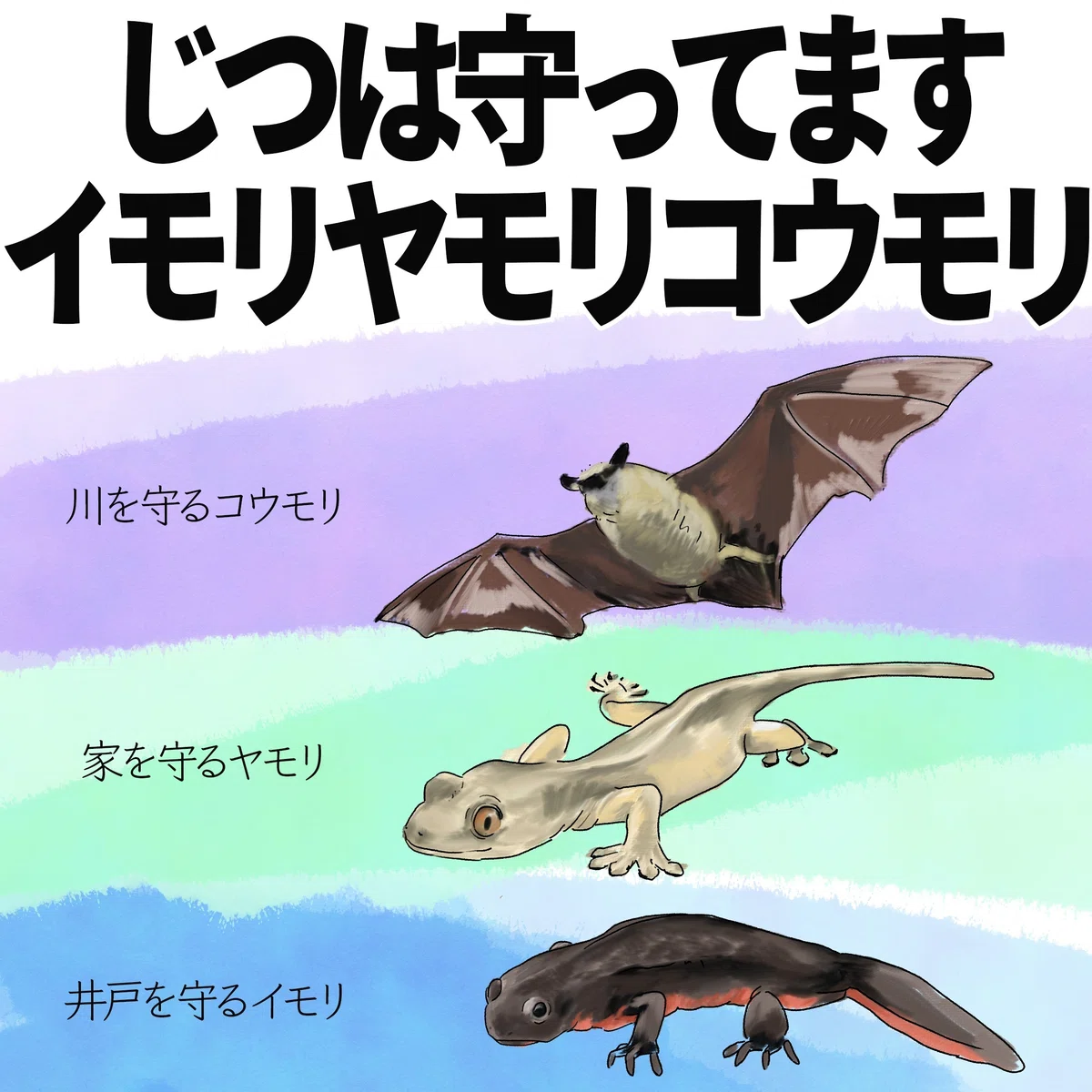 じつは守ってます|イモリ、ヤモリ、コウモリ|自然ガイドのネタ帳
