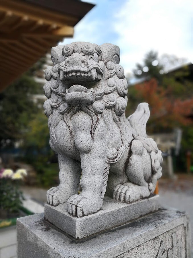 いろんな狛犬大集合！｜ゆたか
