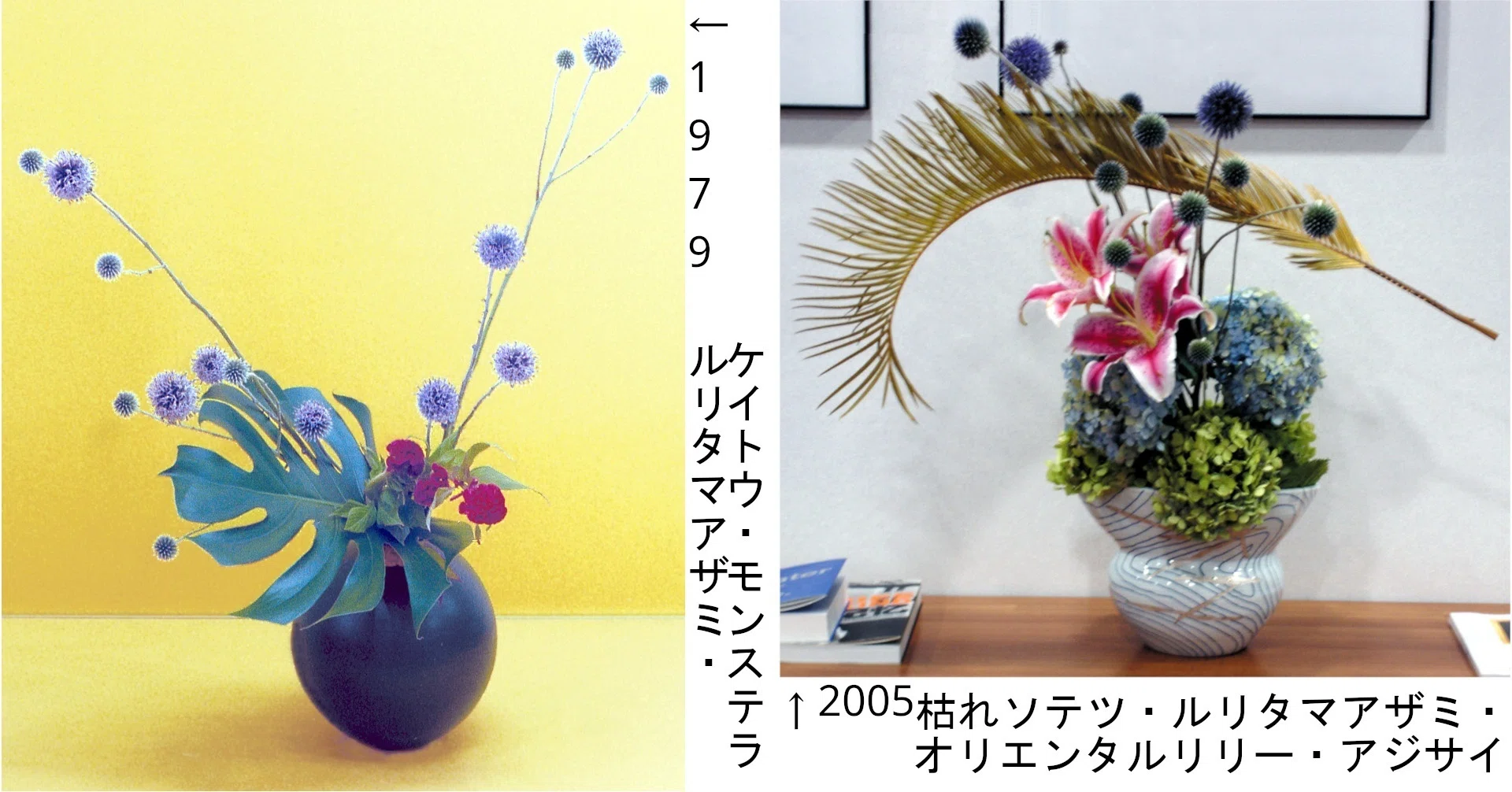 いけばな歳時記 ルリタマアザミ｜広瀬典丈