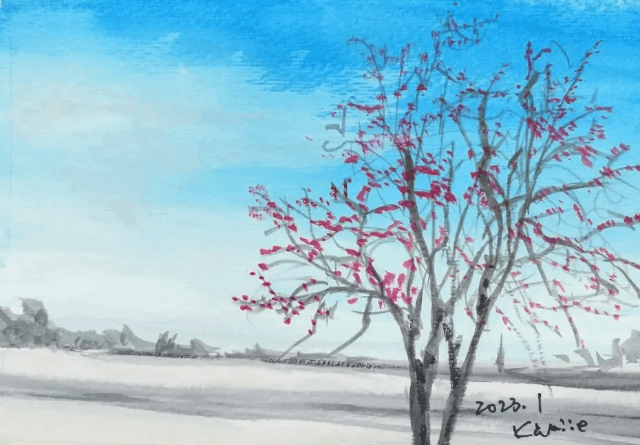 冬景色4｜北海道の熊おやじ〜北海道の179市町村の歴史と観光スポットを