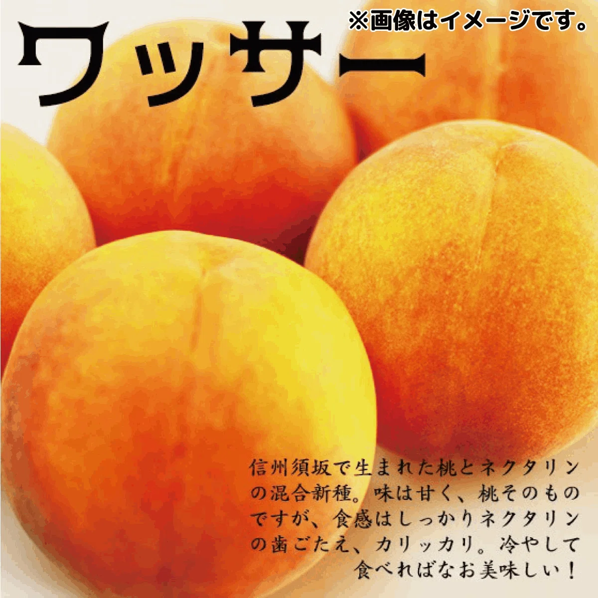 ふるさと納税担当が心からおすすめしたいフルーツ。「ワッサー