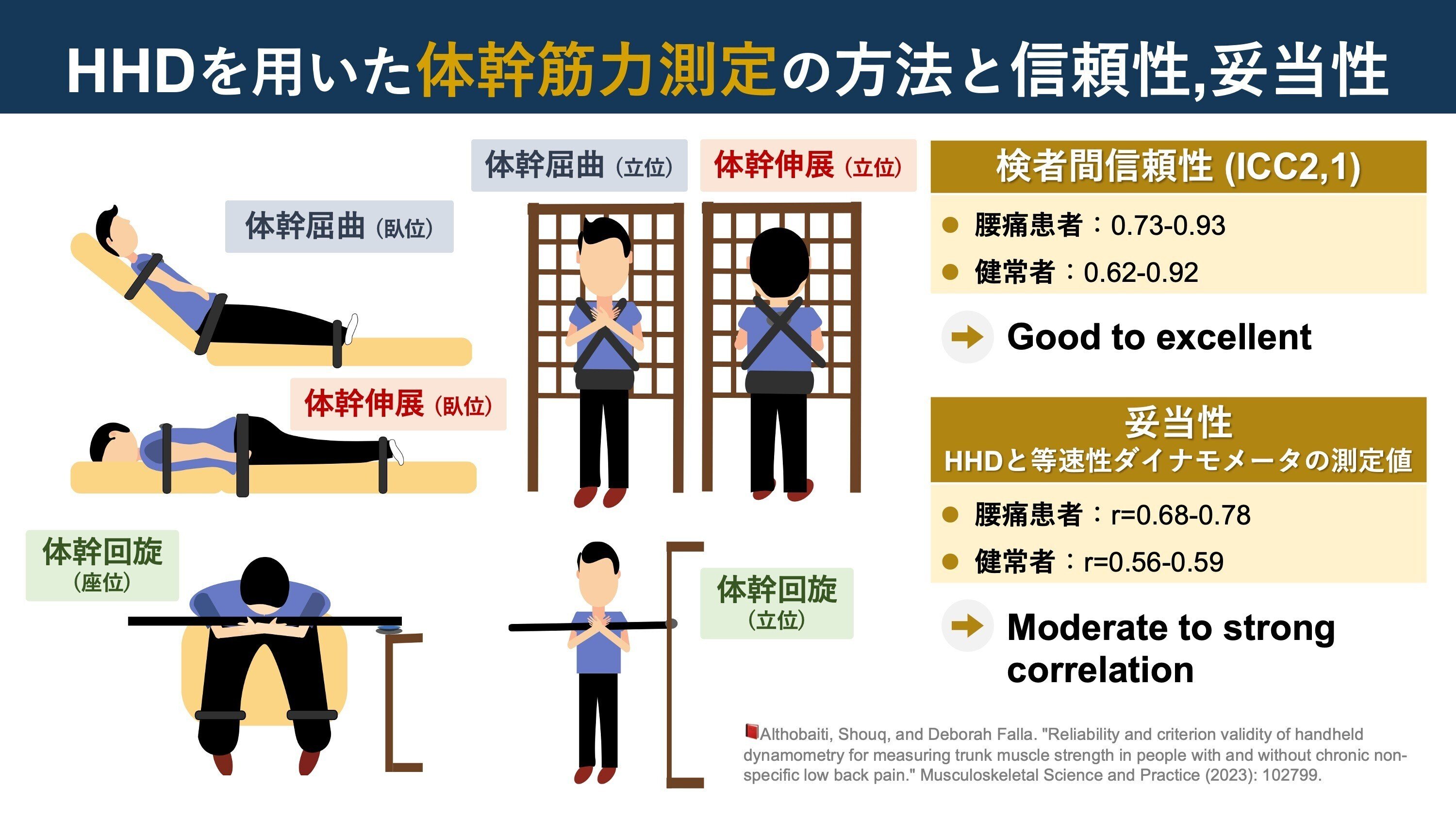 HHDで体幹筋力を測る｜Super Human | 理学療法士／保健学博士 Ph.D.