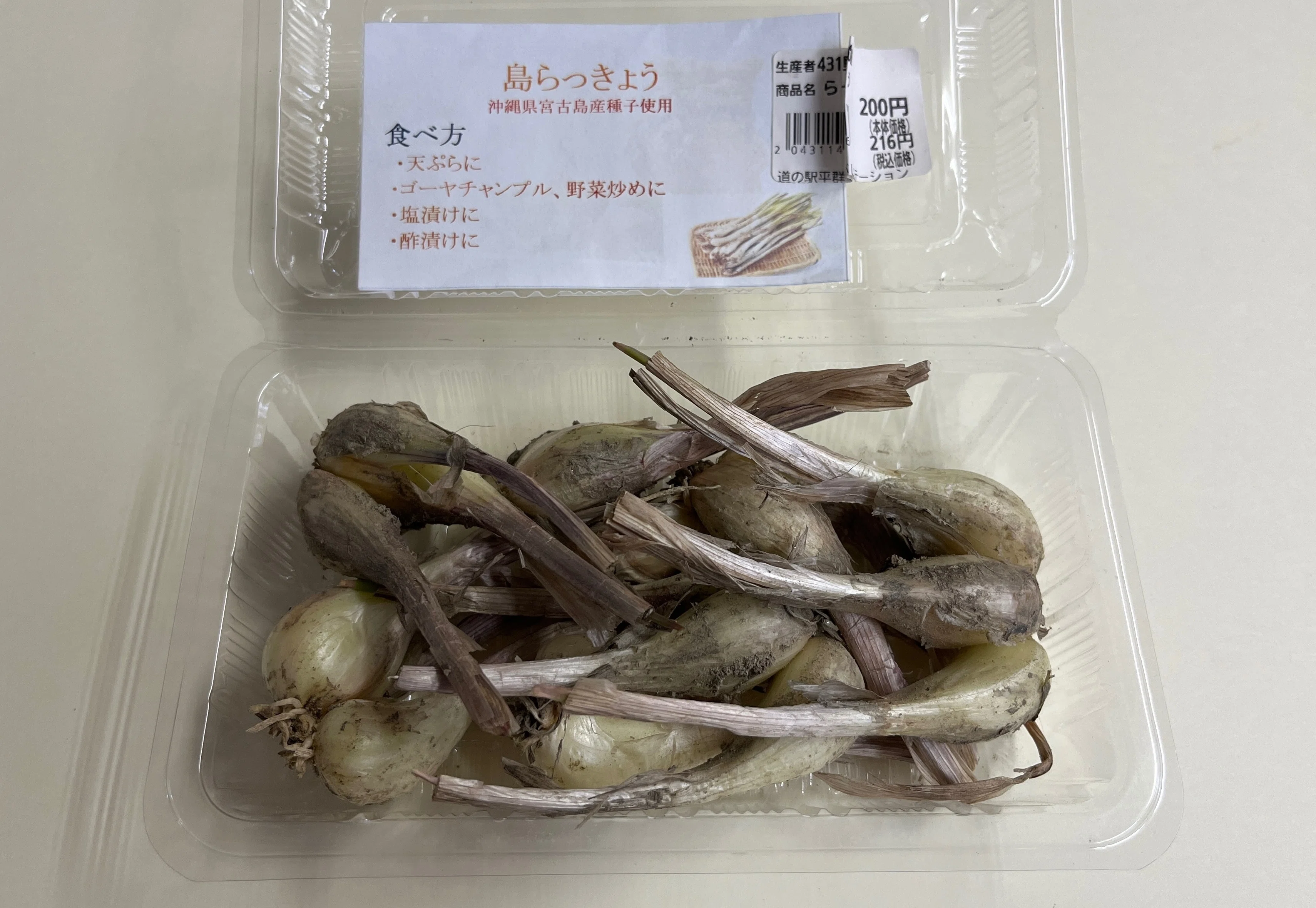 コケ様専用！沖縄本島産！島らっきょう種苗 1100本 楽天市場】島