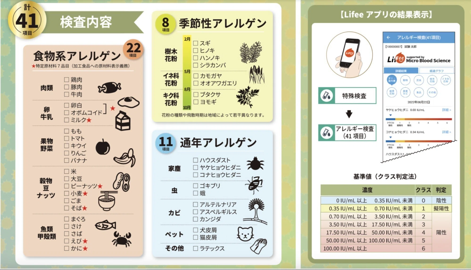 活動歴および当時の関連ビジュアル記録