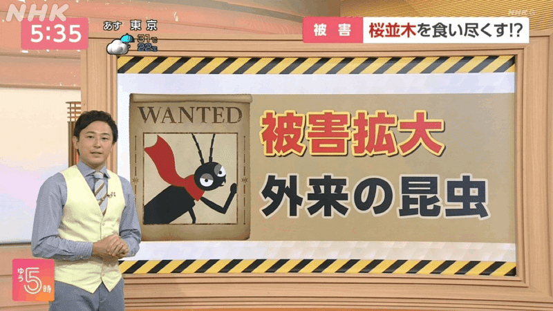 テレビ番組のキャプチャ画像。宮崎アナが立つ横のモニターには「被害拡大　外来の昆虫」の文字。