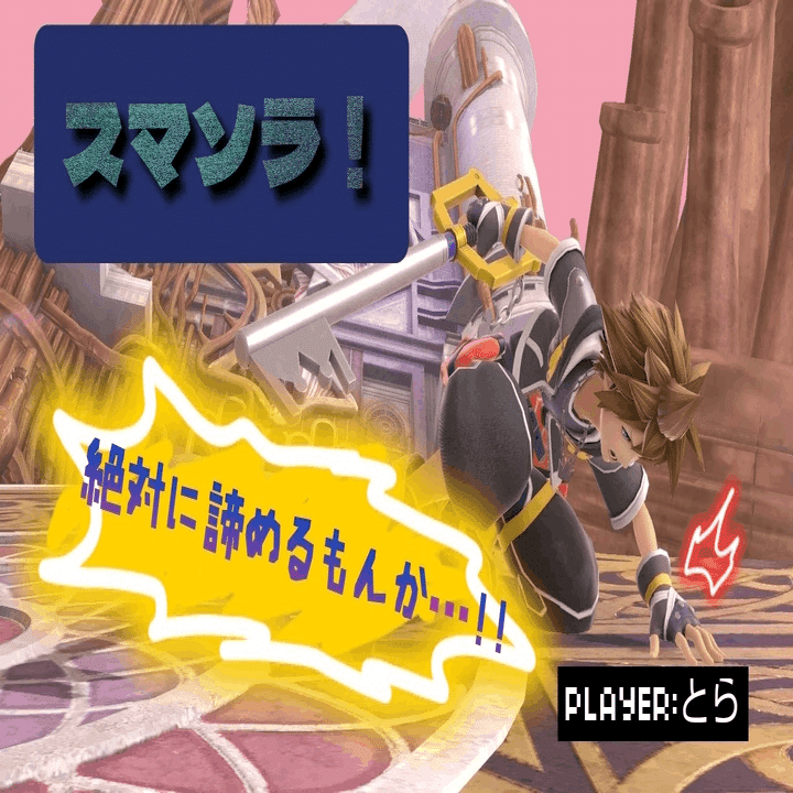 更新】ソラが傷つくことが大嫌い！(´; ;` )それでもつよくなりたい