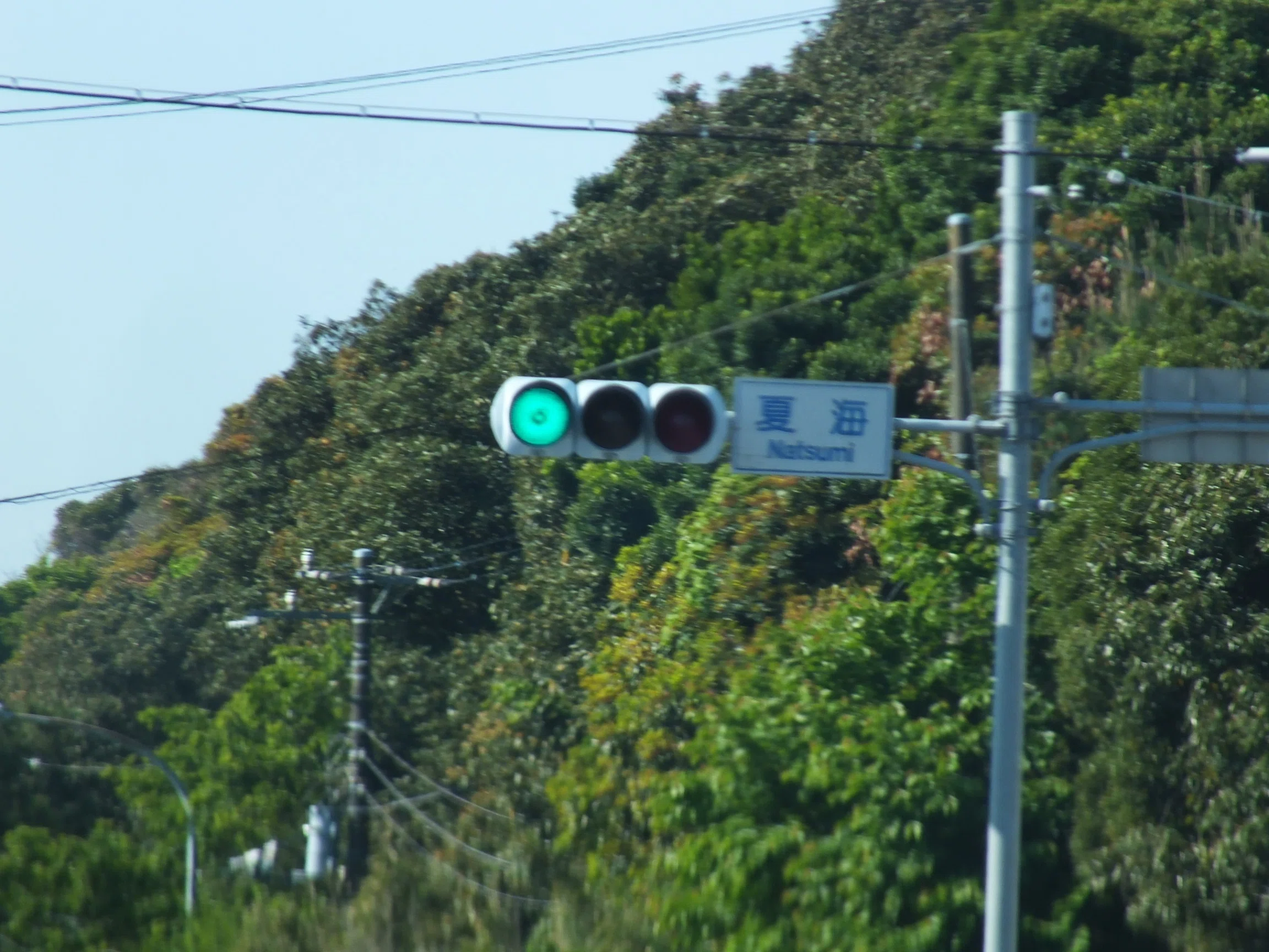 夏海と小糸D型スフェリカルレンズ深フードと小糸おにぎり3代目網目