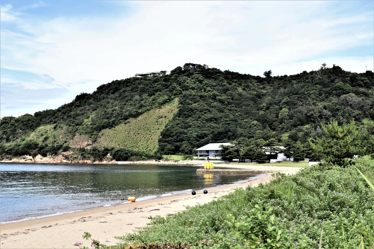 画像