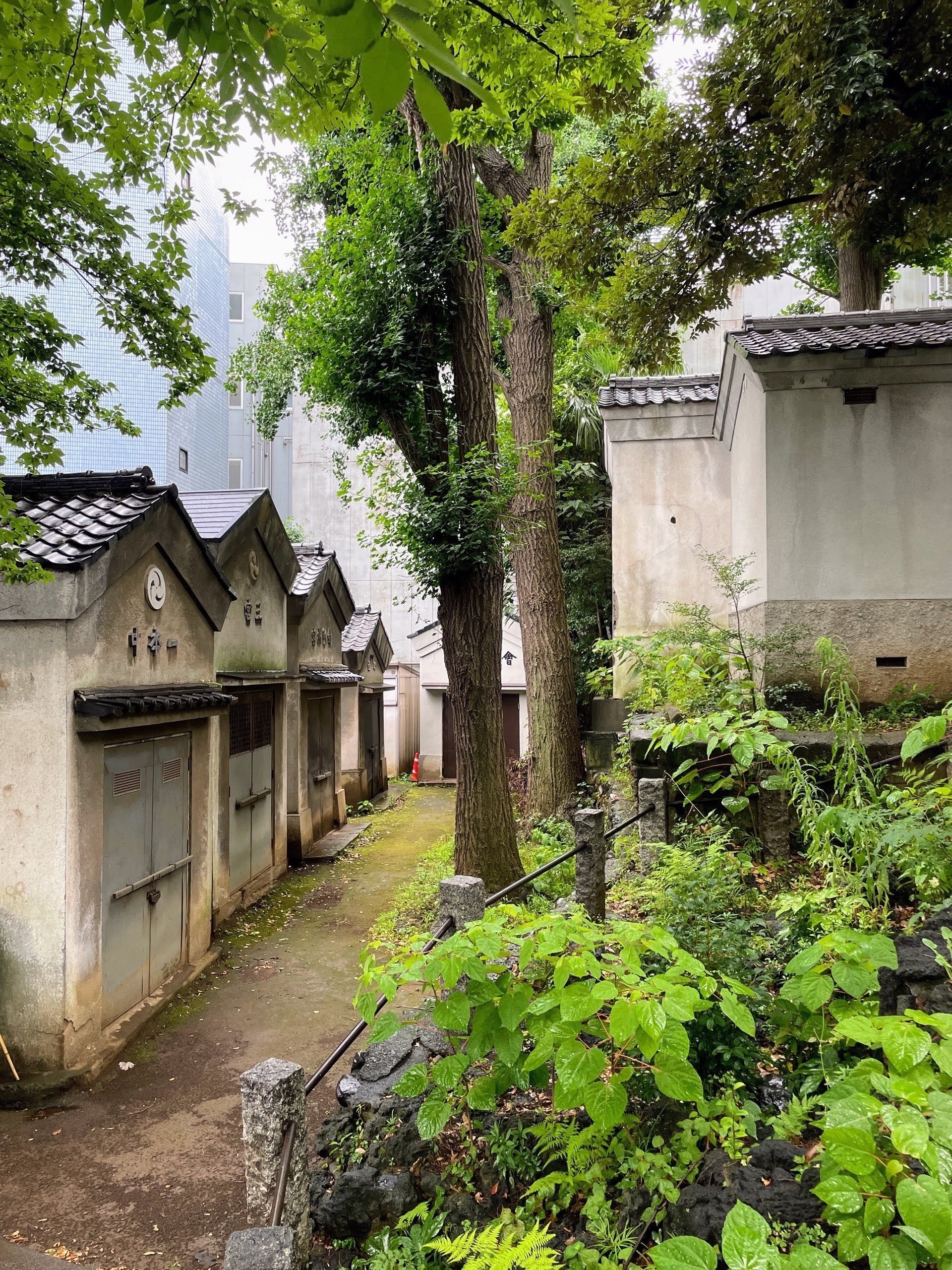 良寛の書の世界 ~清らかな書の成り立ち~:1 /東京黎明アート 良寛の書の世界 ~清らかな書の成り立ち~:1 /東京黎明アート