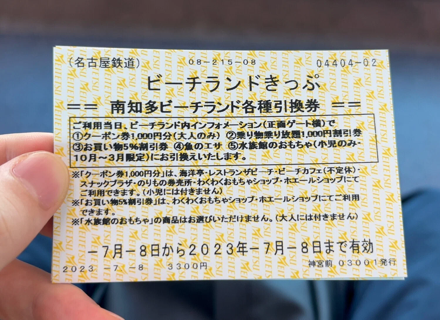 夏のおすすめ】ビーチランドきっぷがお得すぎた｜haru
