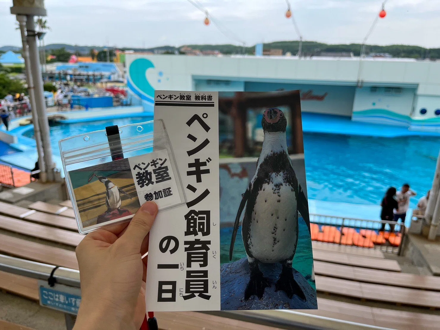 夏のおすすめ】ビーチランドきっぷがお得すぎた｜haru