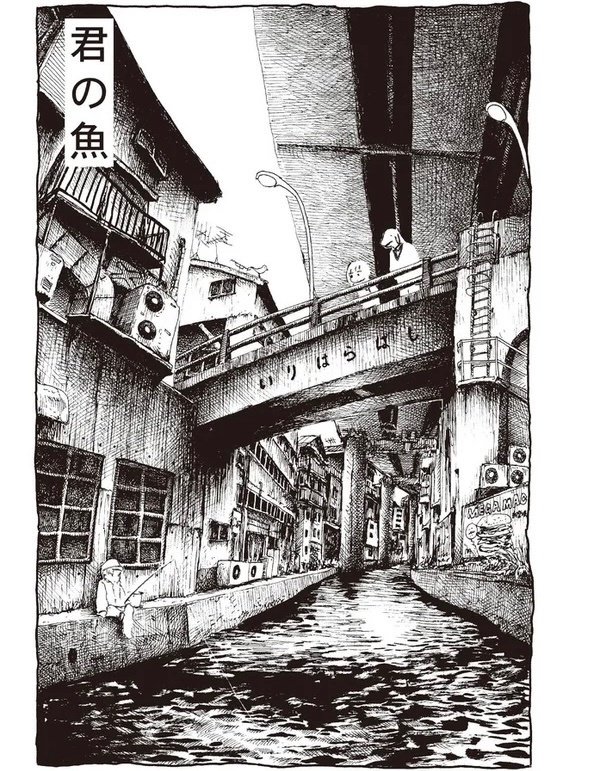 Amazon.co.jp: 足摺り水族館 : panpanya, 1月と7月: Japanese Books