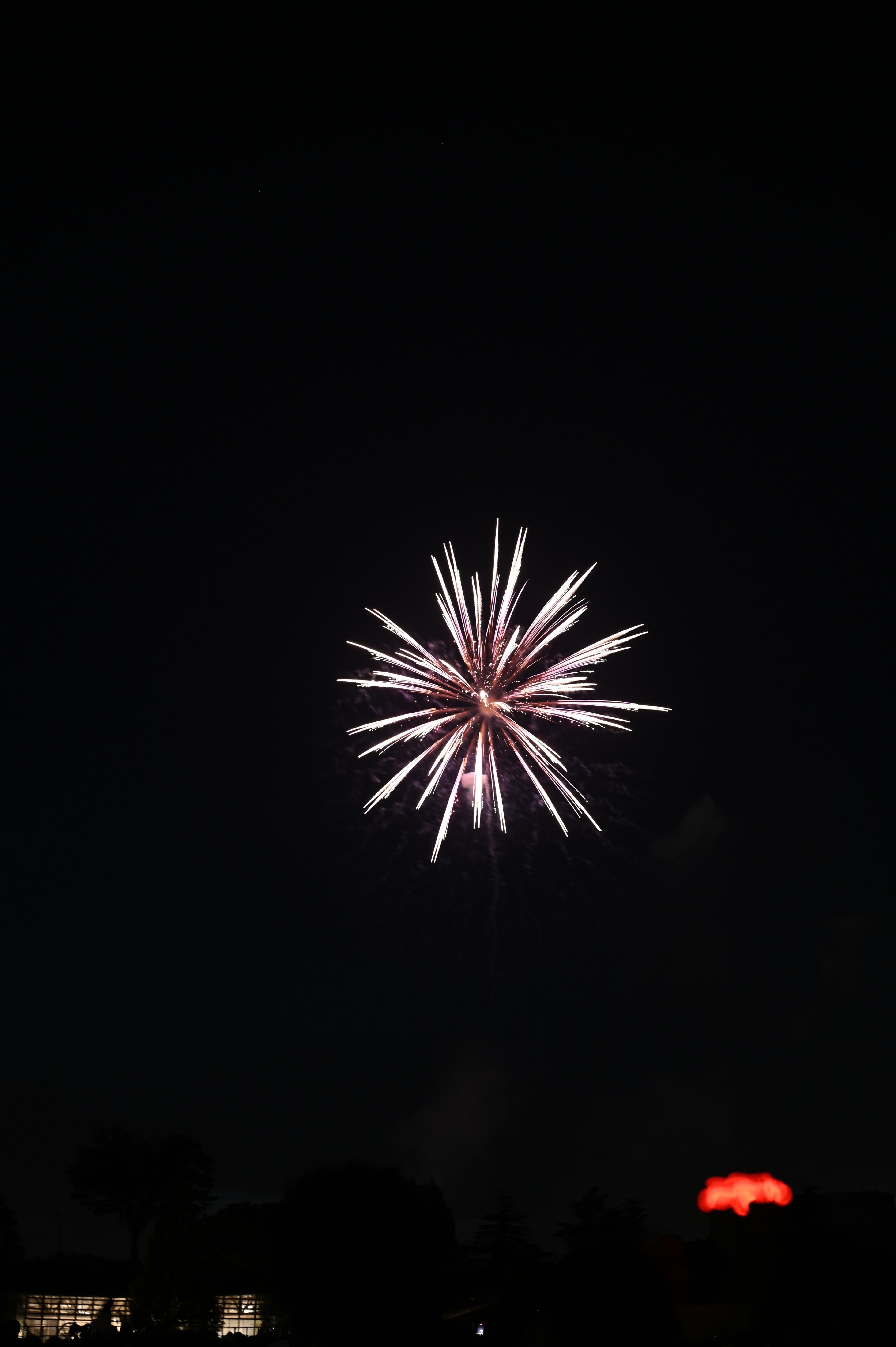 立川花火大会をNIKON Z6IIで【NIKKOR Z 50mm f/1.8 S】｜Yutaro