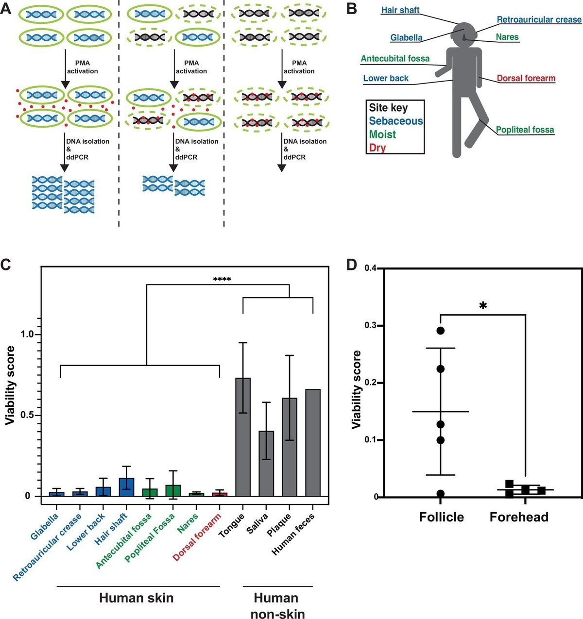 スワッビング 井戸洗浄システム | ハギ・ボー | 山梨 | 井戸掘削 | 温泉掘削 | 地中熱利用 | 接地