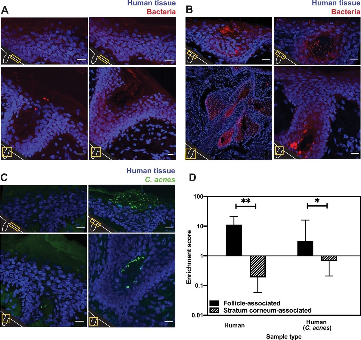 スワッビング 業務完了報告書