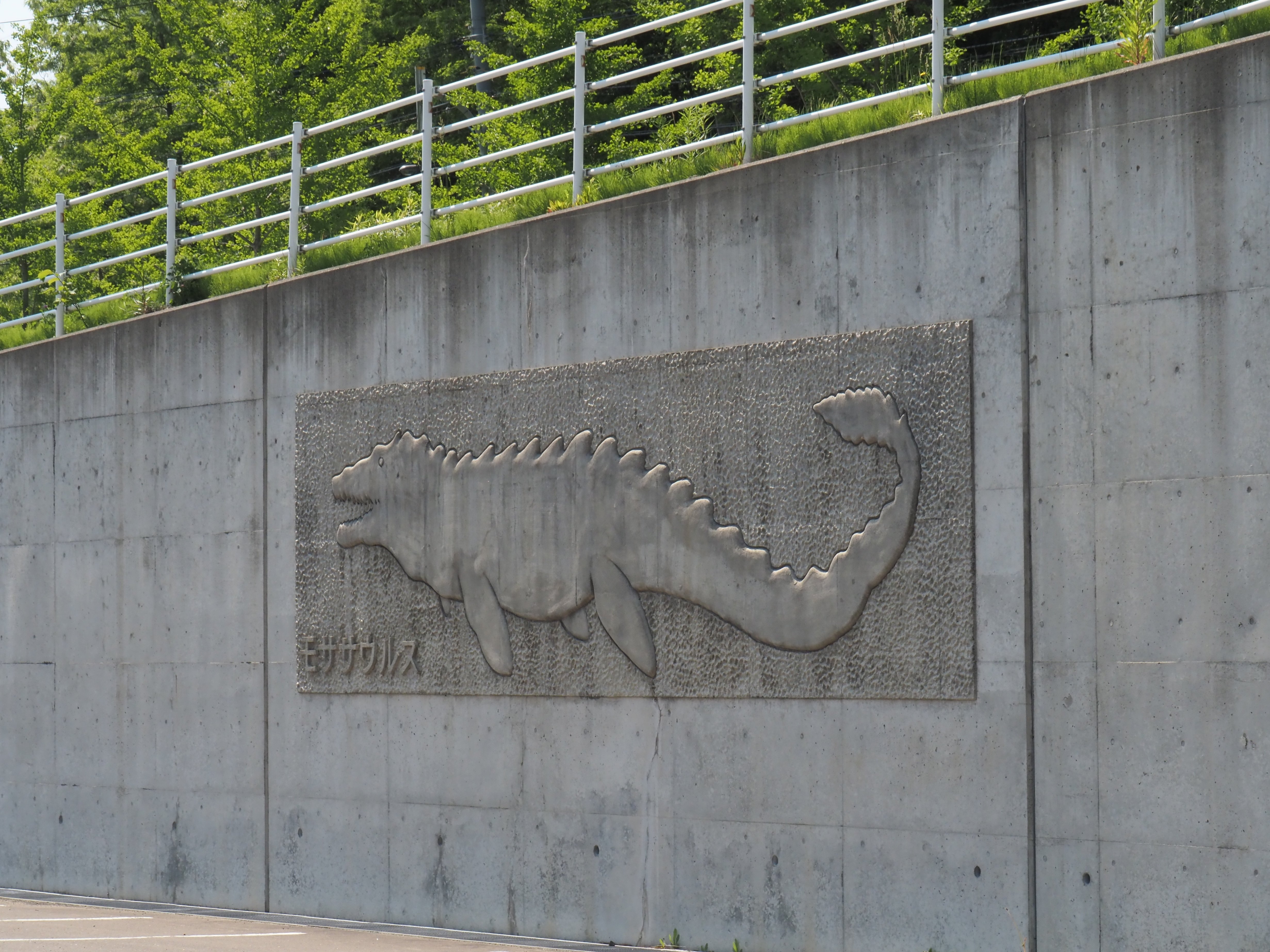 編集先記】驚異と癒しの圧倒的アンモナイト空間！三笠市立博物館編vol