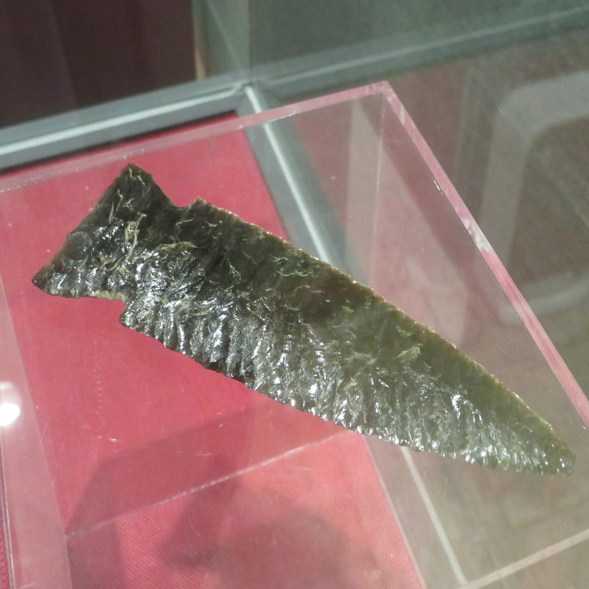 古代メキシコ×STEAM教育】古代日本と古代メキシコに見る「交易 