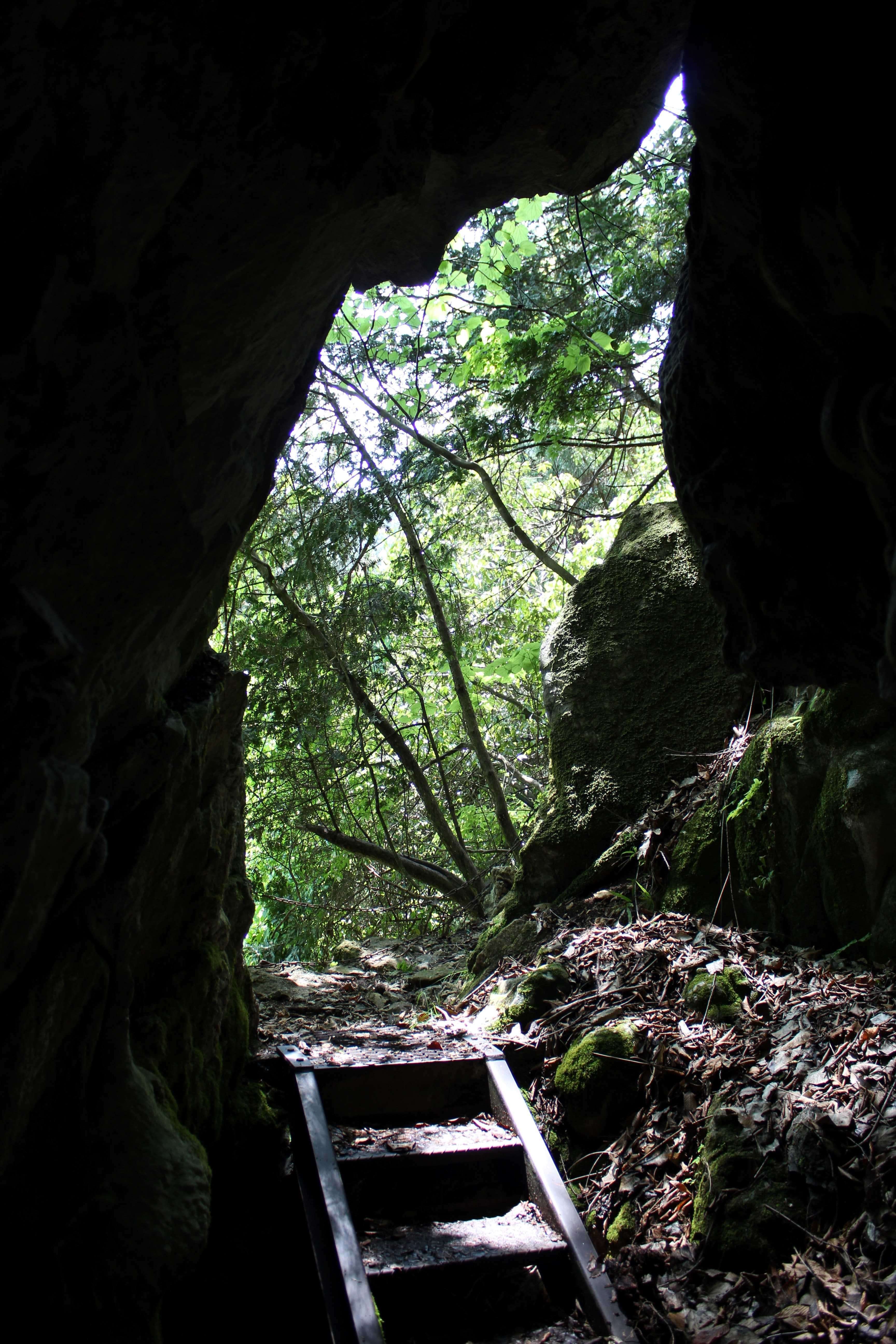 家族で守る自然の造形美『三ツ合鍾乳洞』〜緑あふれる山間で自然を満喫
