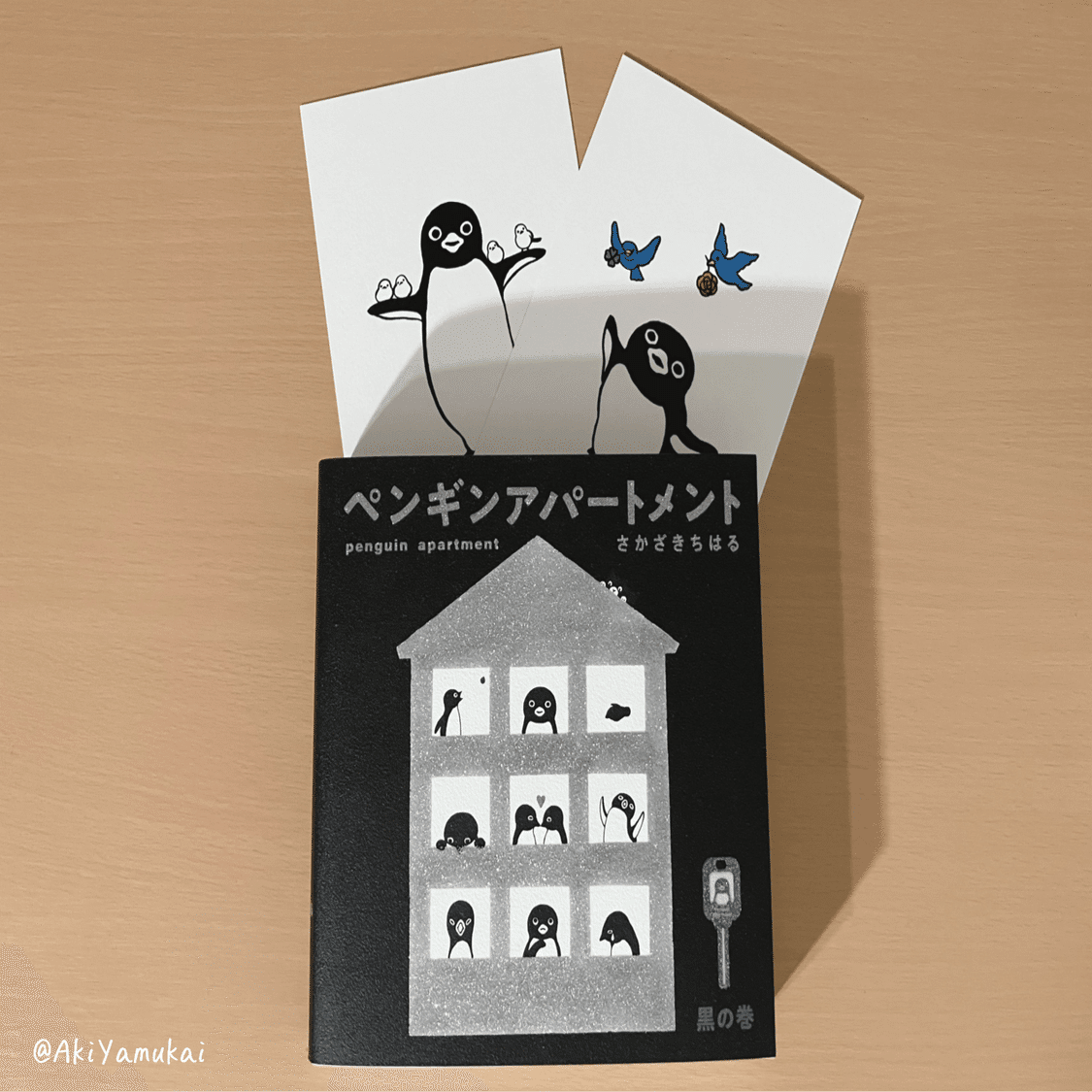 ペンギンアパートメント 黒の巻　図録 ペンギンアパートメント 黒の巻 図録 Amazon.co.jp: さかざきちはる展