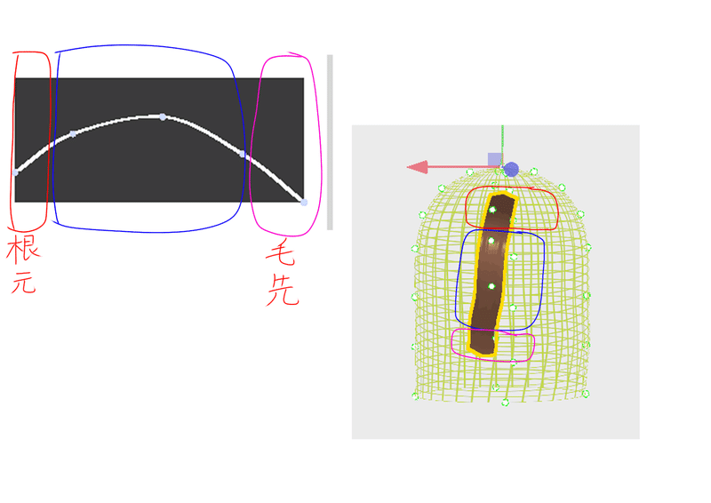 根元・毛先