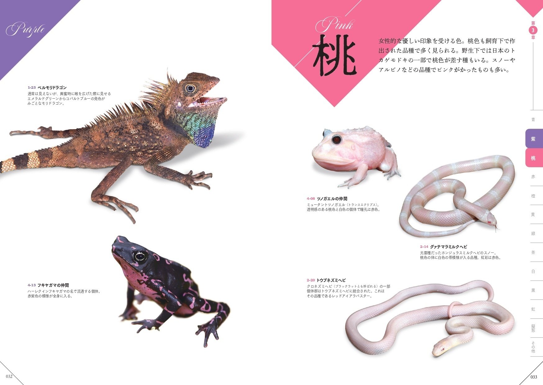 Amazon.co.jp: 紫陽花 花 爬虫類 トカゲ ヤモリ レオパルド ワニ