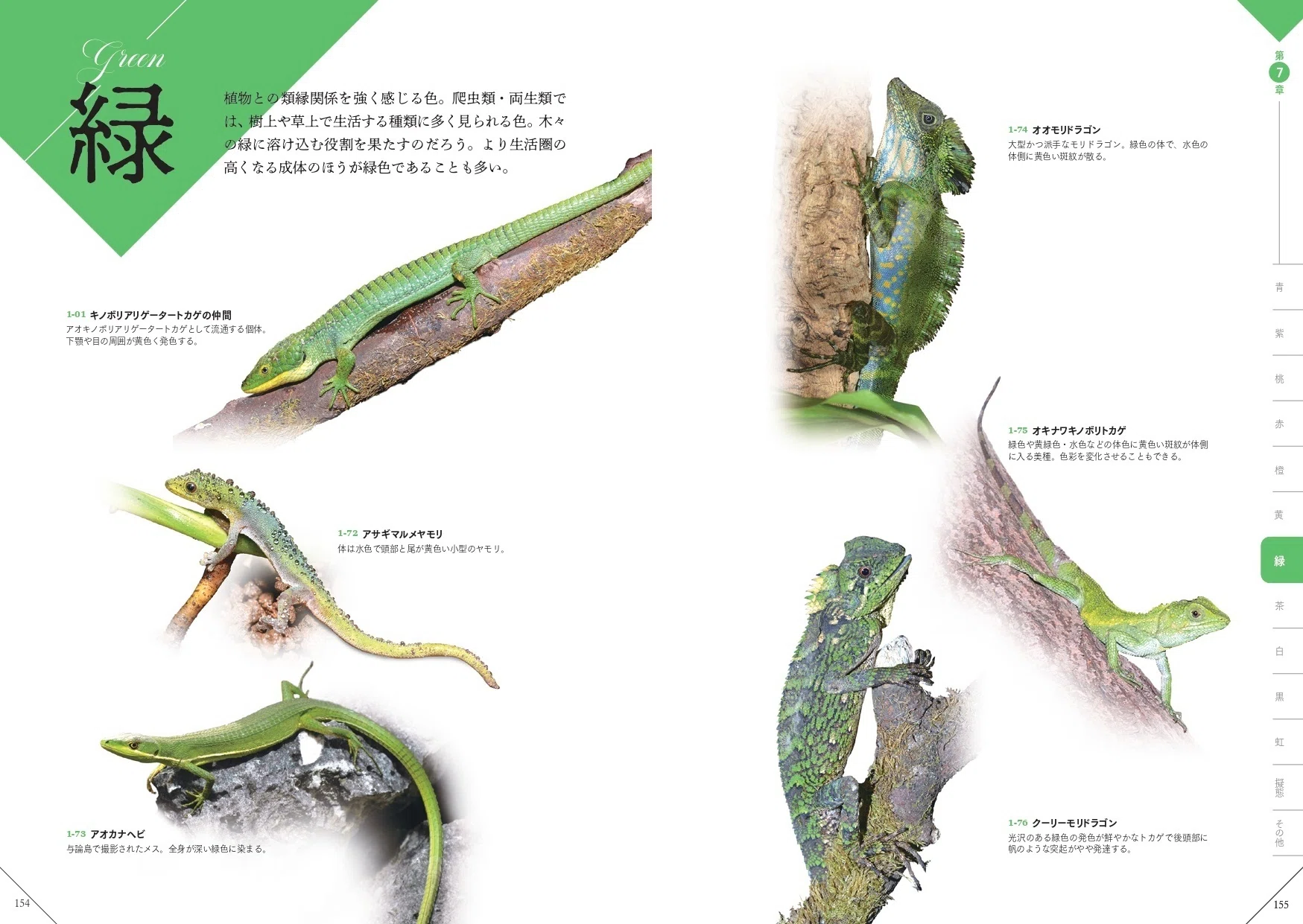 レオパやニシアフ、ド派手なヤドクガエルなど掲載『色彩別 爬虫類