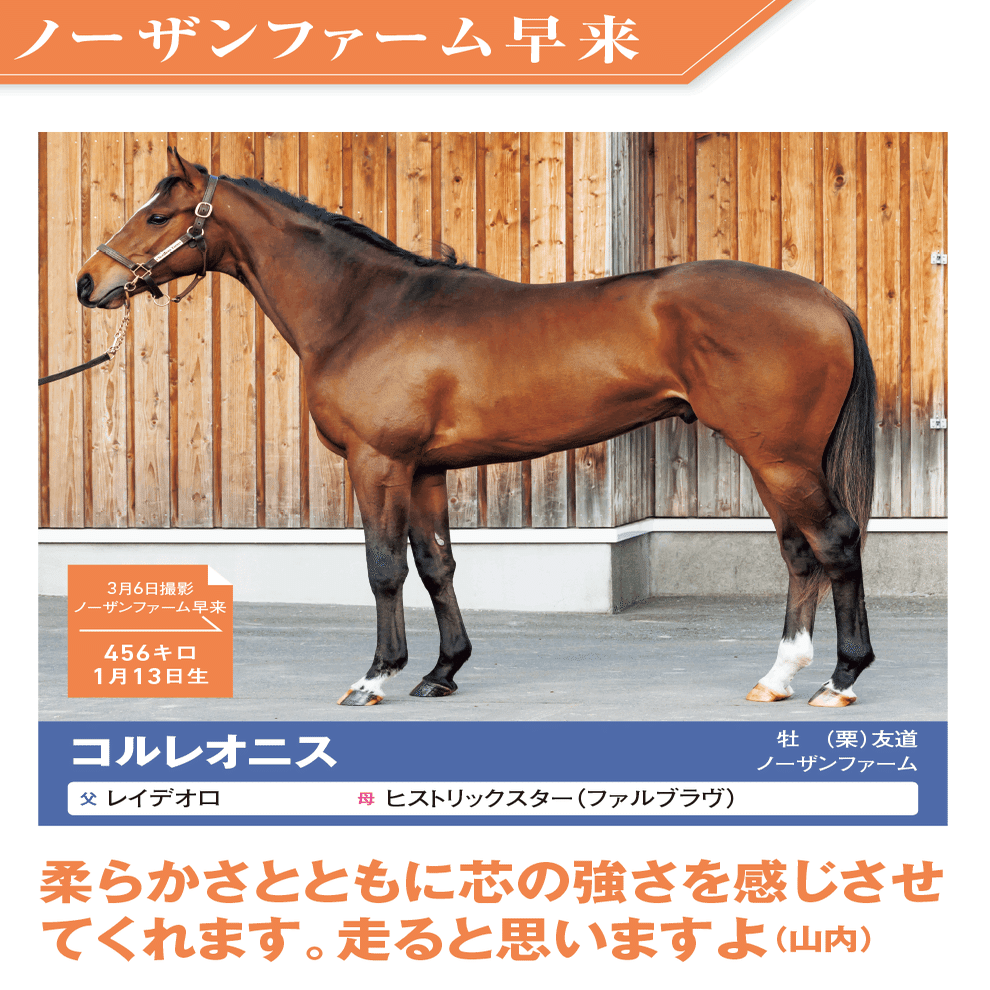 8/5-6】今週の競馬王POG通信｜馬券攻略雑誌『競馬王』