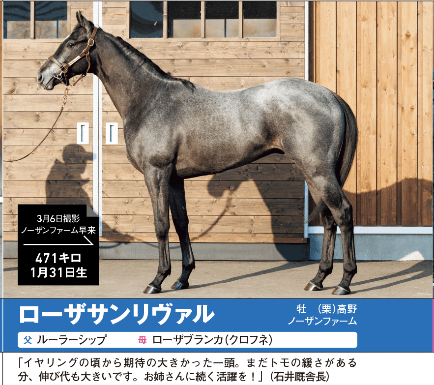 8/5-6】今週の競馬王POG通信｜馬券攻略雑誌『競馬王』