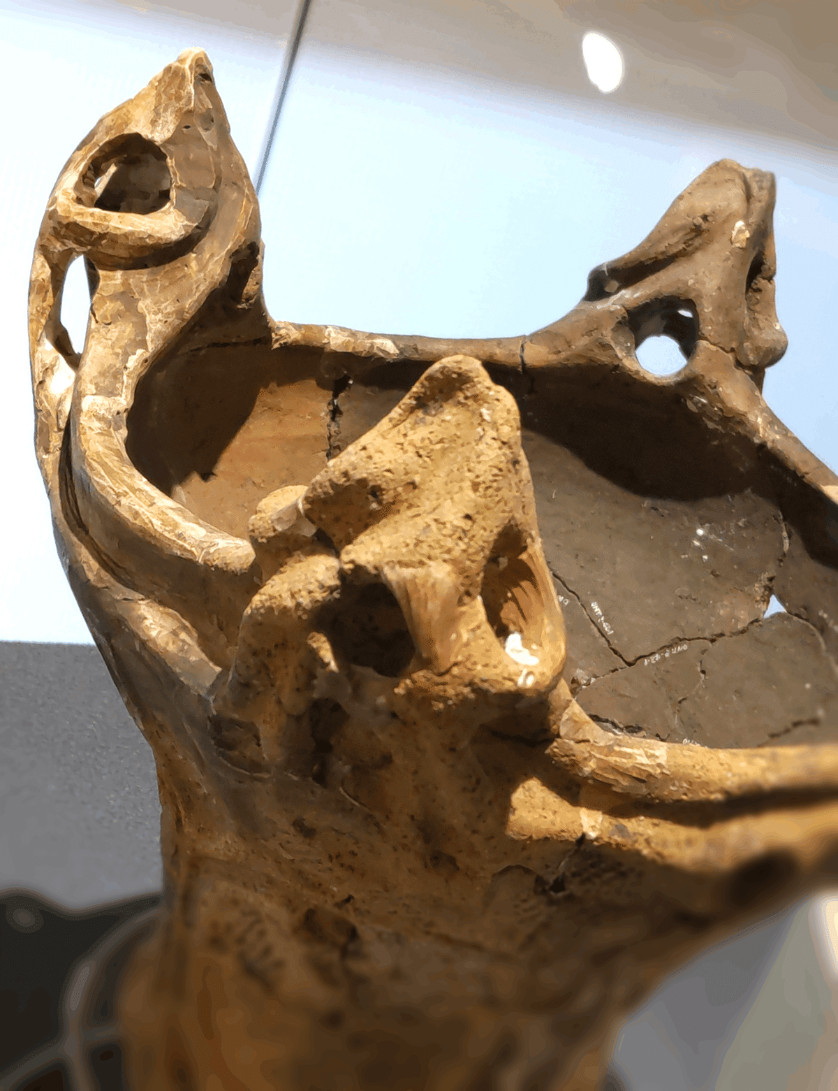 オブシディアン・ロードがもたらしたもの(1) -中部高地の縄文 オブシディアン・ロードがもたらしたもの(1) -中部高地の縄文