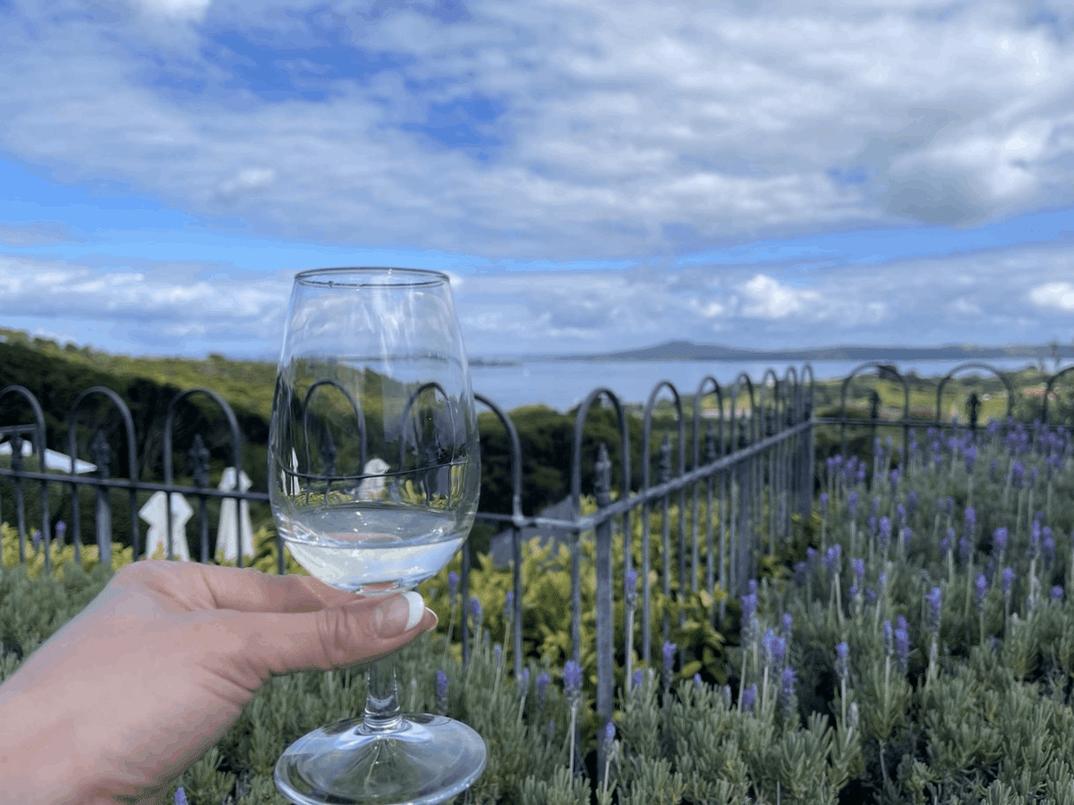 ワイナリー訪問記🍷Newzealand編1:マッドブリック ヴィンヤード ワイナリー訪問記🍷Newzealand編1:マッドブリック ヴィンヤード