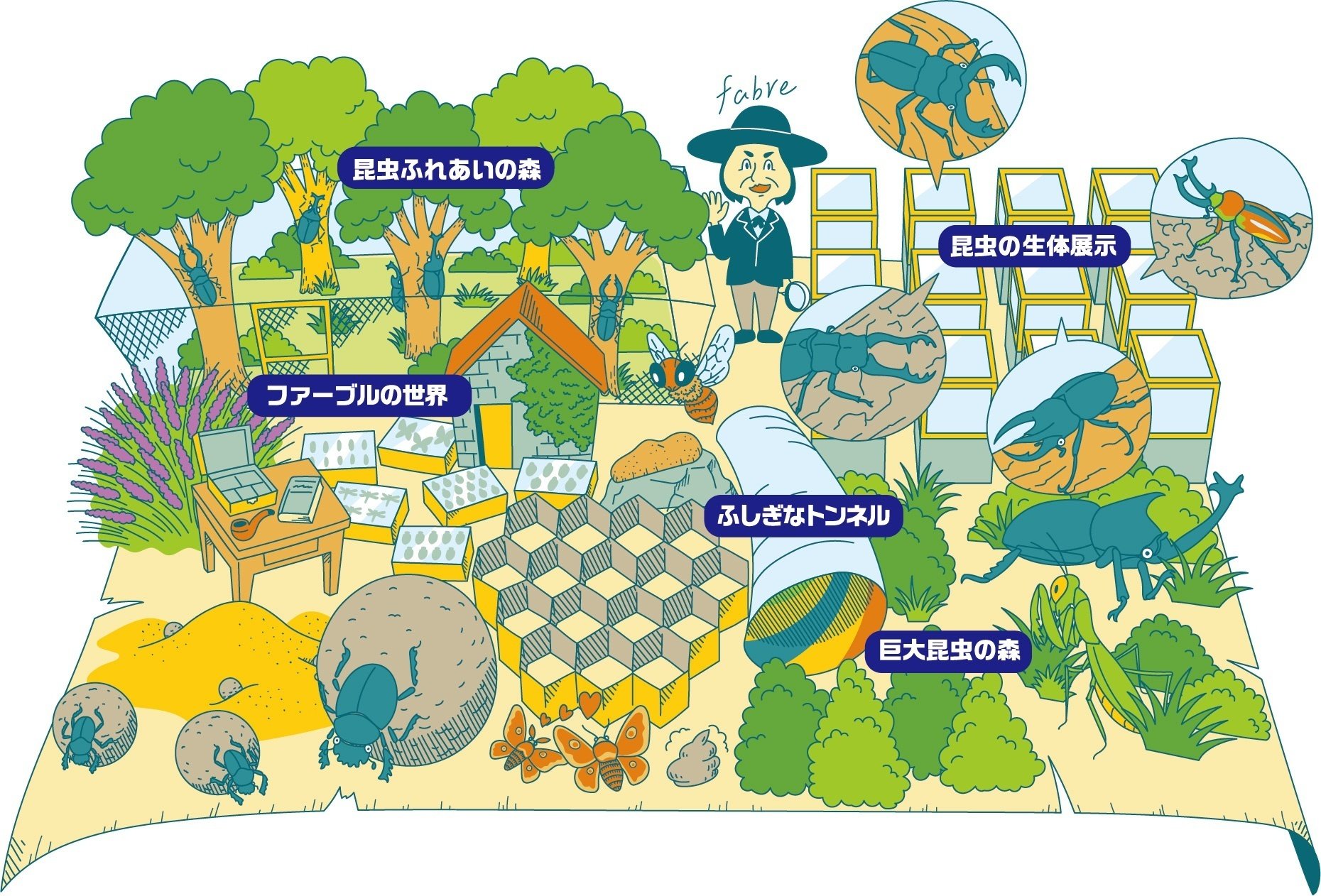 PR【東京ドームシティ】全長約3mの巨大昆虫！？都内で昆虫と触れ合おう