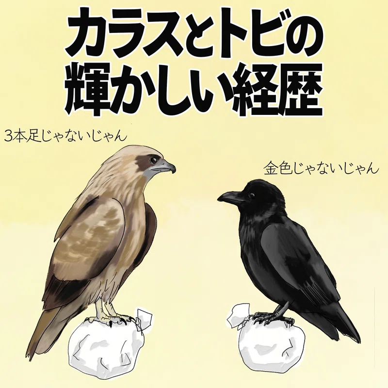 カラスとトビの輝かしい経歴|自然ガイドのくますけ|自然ネタを日々配信