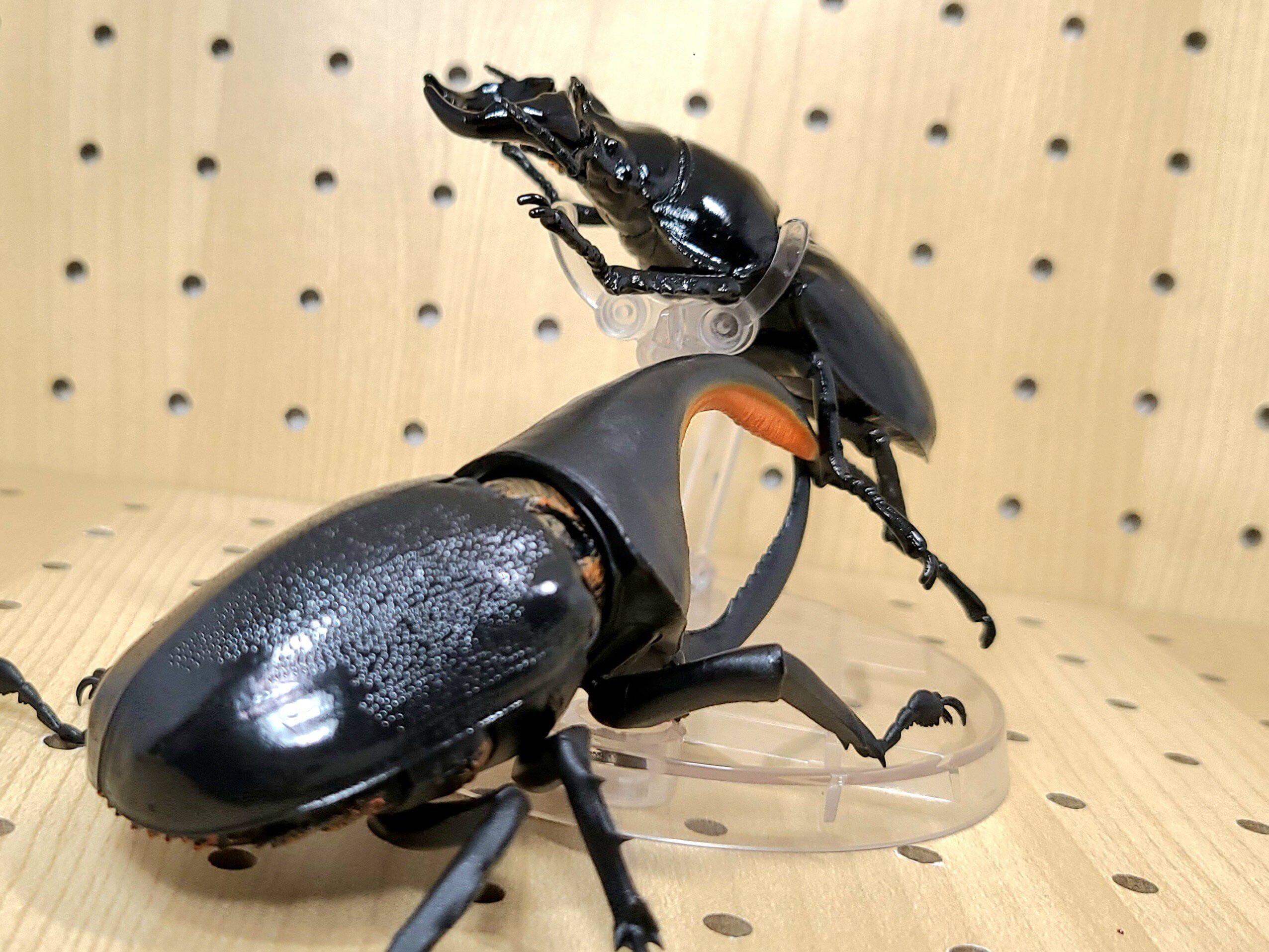 いきもの大図鑑 かぶとむし05 レビュー｜ウンウンペンチウム